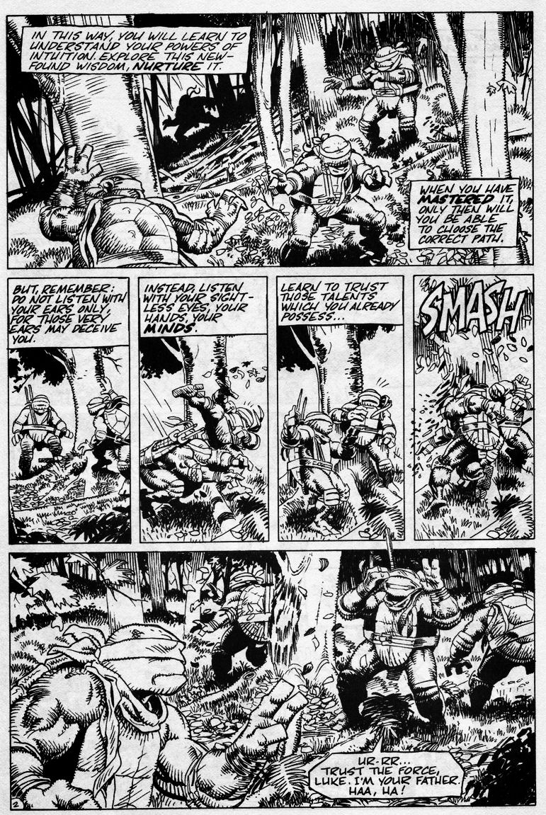 Read online Teenage Mutant Ninja Turtles (1984) comic -  Issue #43 - 4