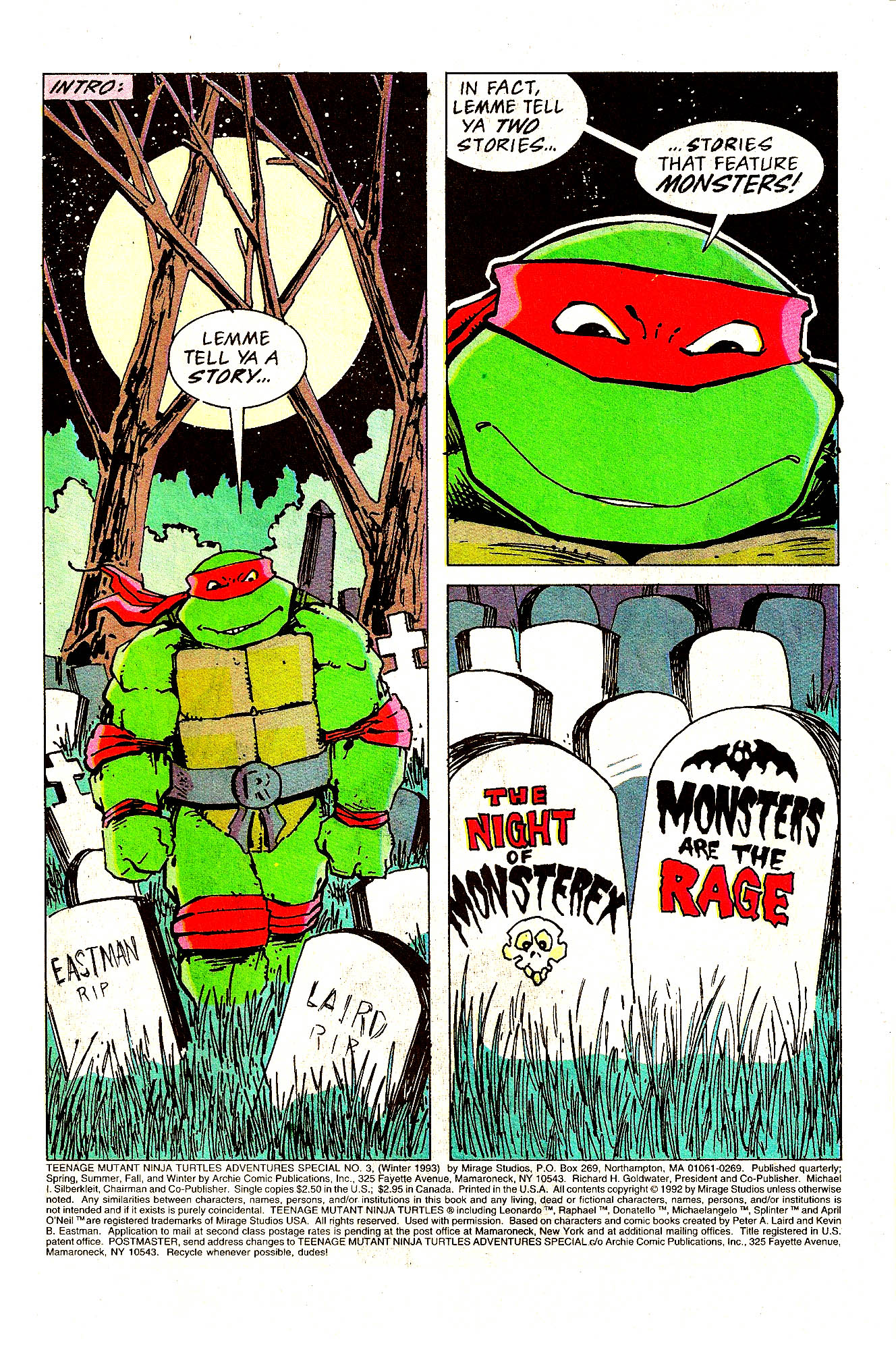 Read online Teenage Mutant Ninja Turtles Adventures (1989) comic -  Issue # _Special 3 - 2