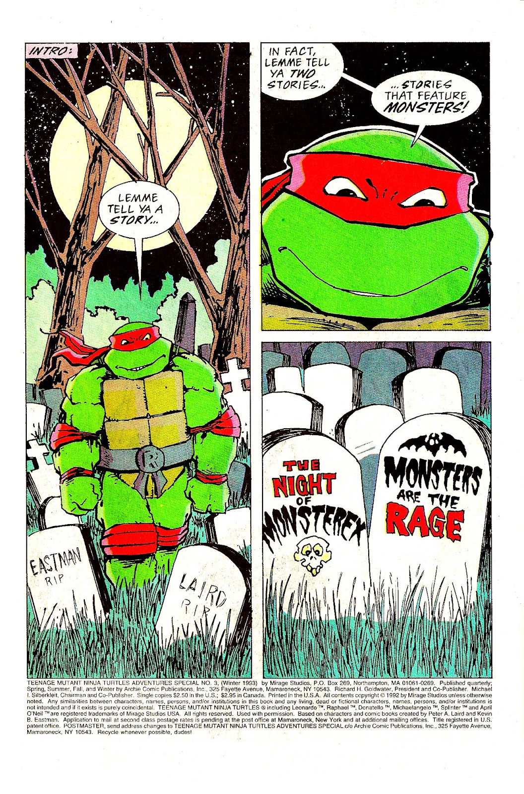 Teenage Mutant Ninja Turtles Adventures (1989) issue Special 3 - Page 2