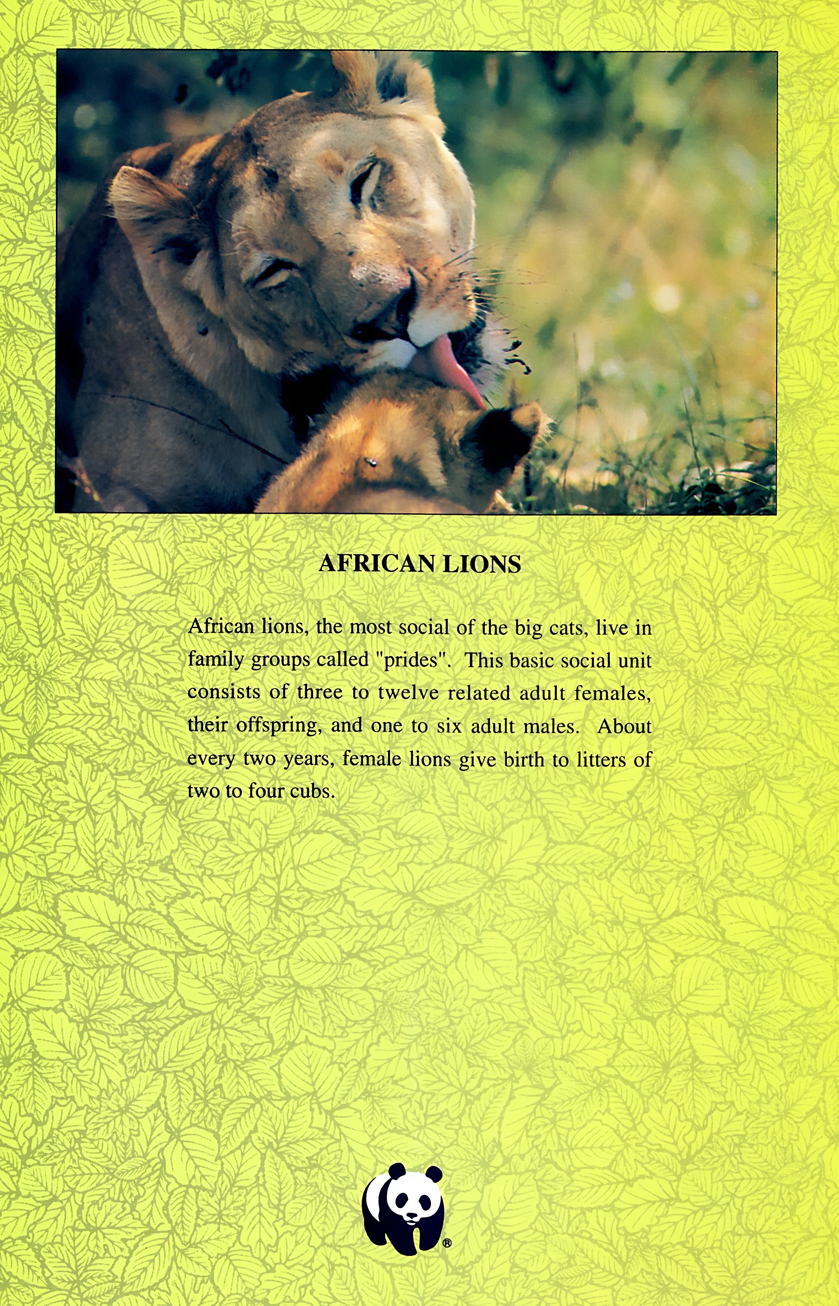 Read online Wolverine: Global Jeopardy comic -  Issue # Full - 33