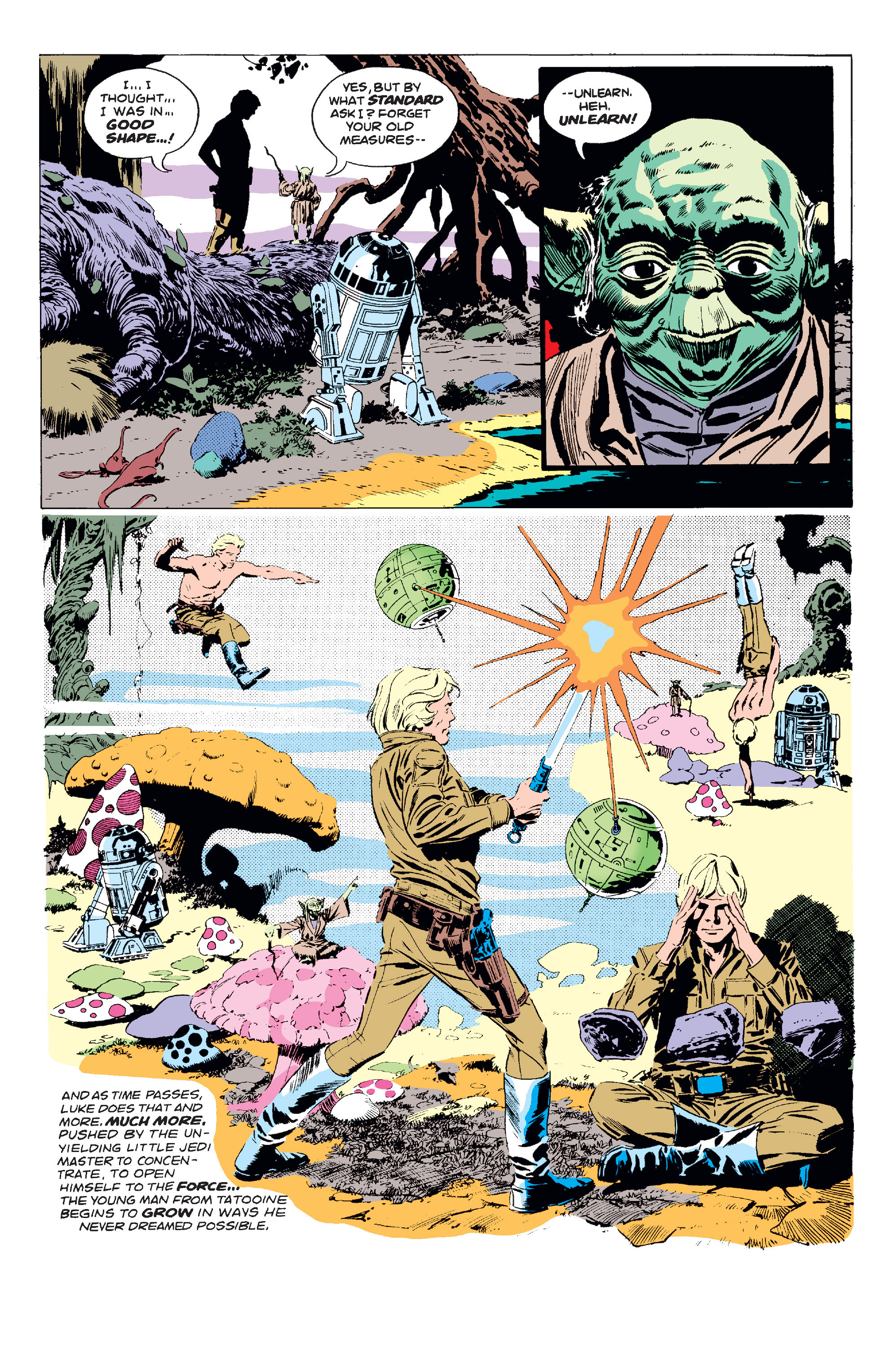 Read online Star Wars (1977) comic -  Issue #42 - 12