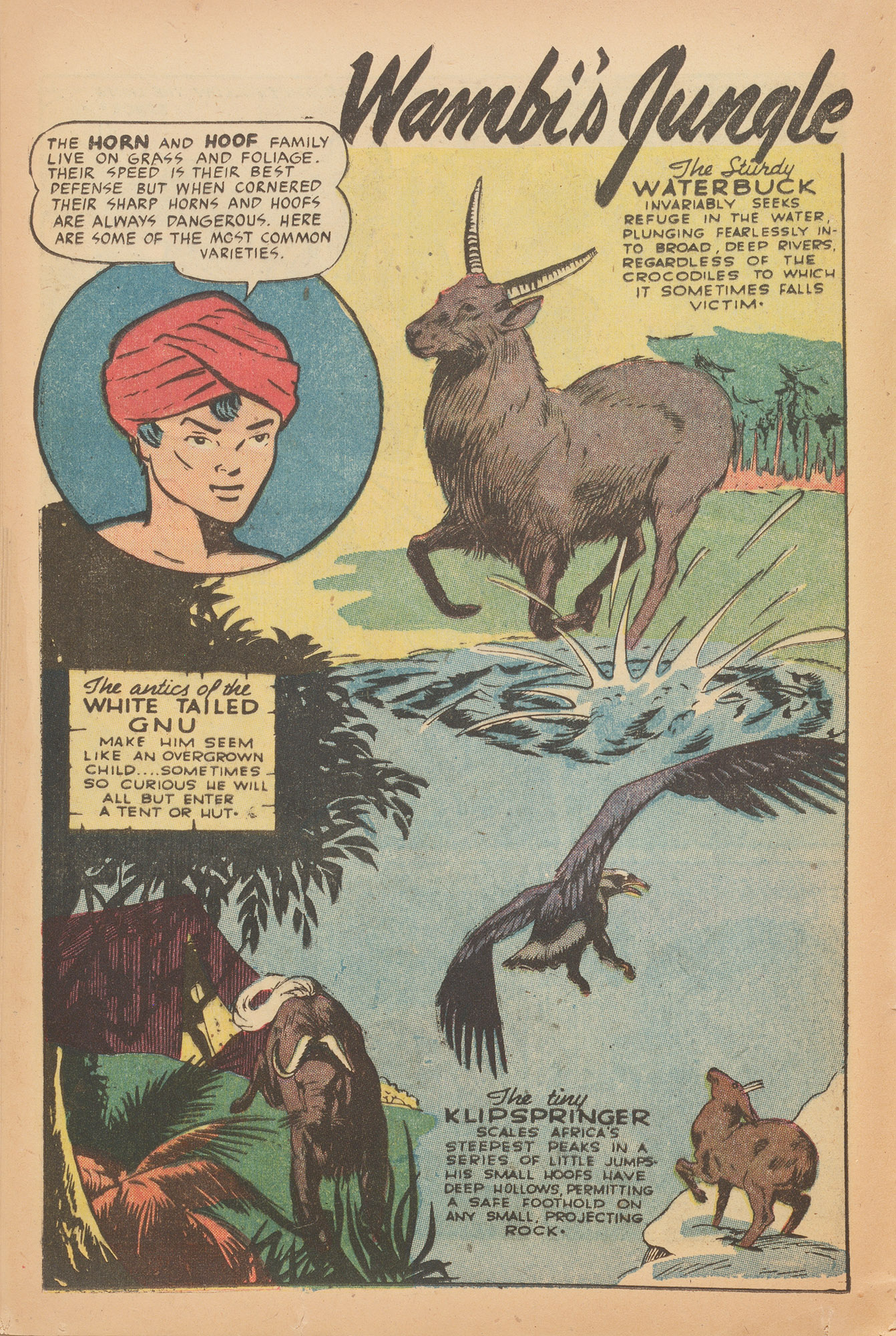 Read online Wambi Jungle Boy comic -  Issue #15 - 16
