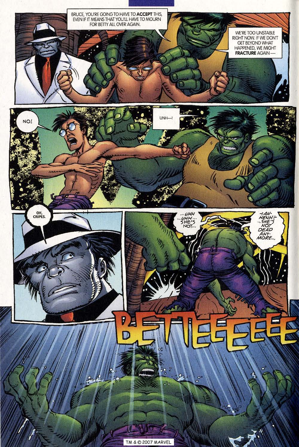 The Incredible Hulk (2000) Issue #25 #14 - English 12