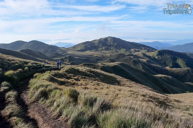 mount pulag