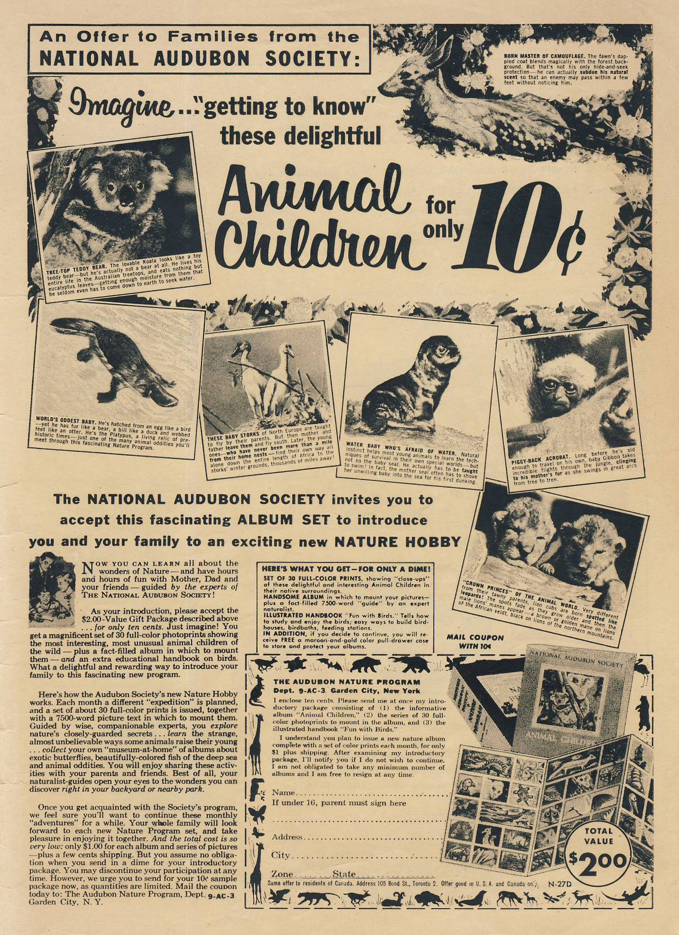 Read online Pep Comics comic -  Issue #131 - 35