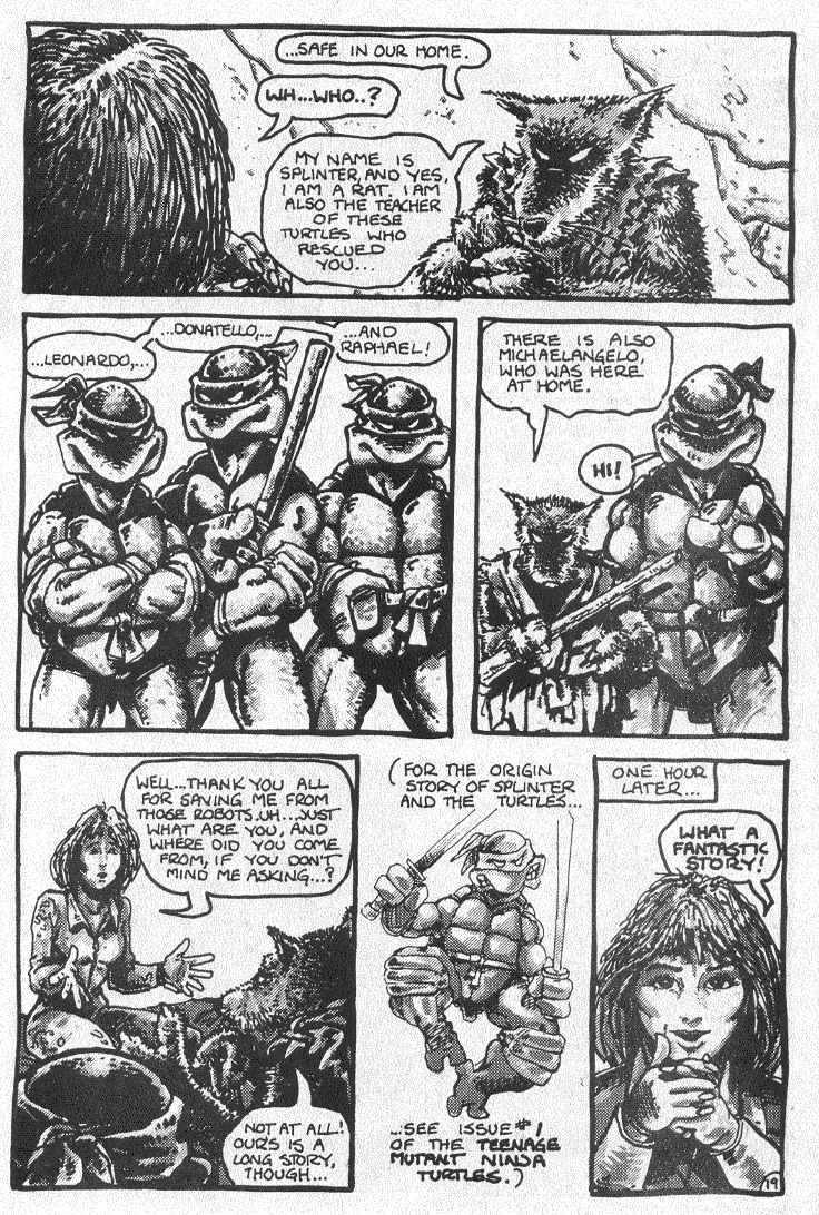 Read online Teenage Mutant Ninja Turtles (1984) comic -  Issue #2 - 21