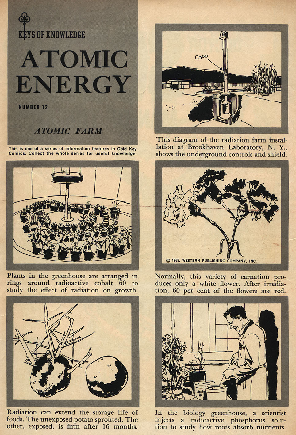 Read online Doctor Solar, Man of the Atom (1962) comic -  Issue #12 - 2