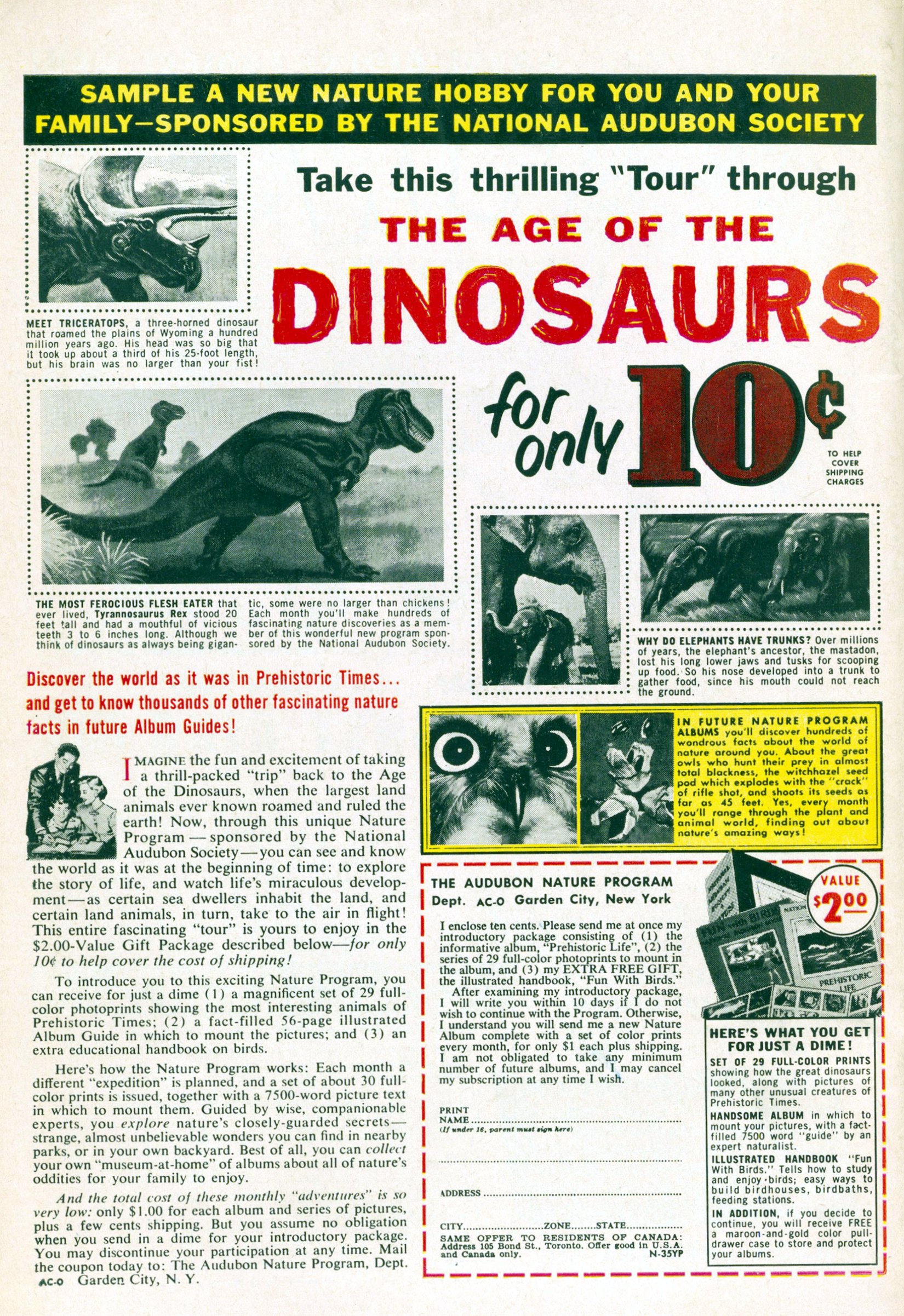Read online Katy Keene (1949) comic -  Issue #56 - 36