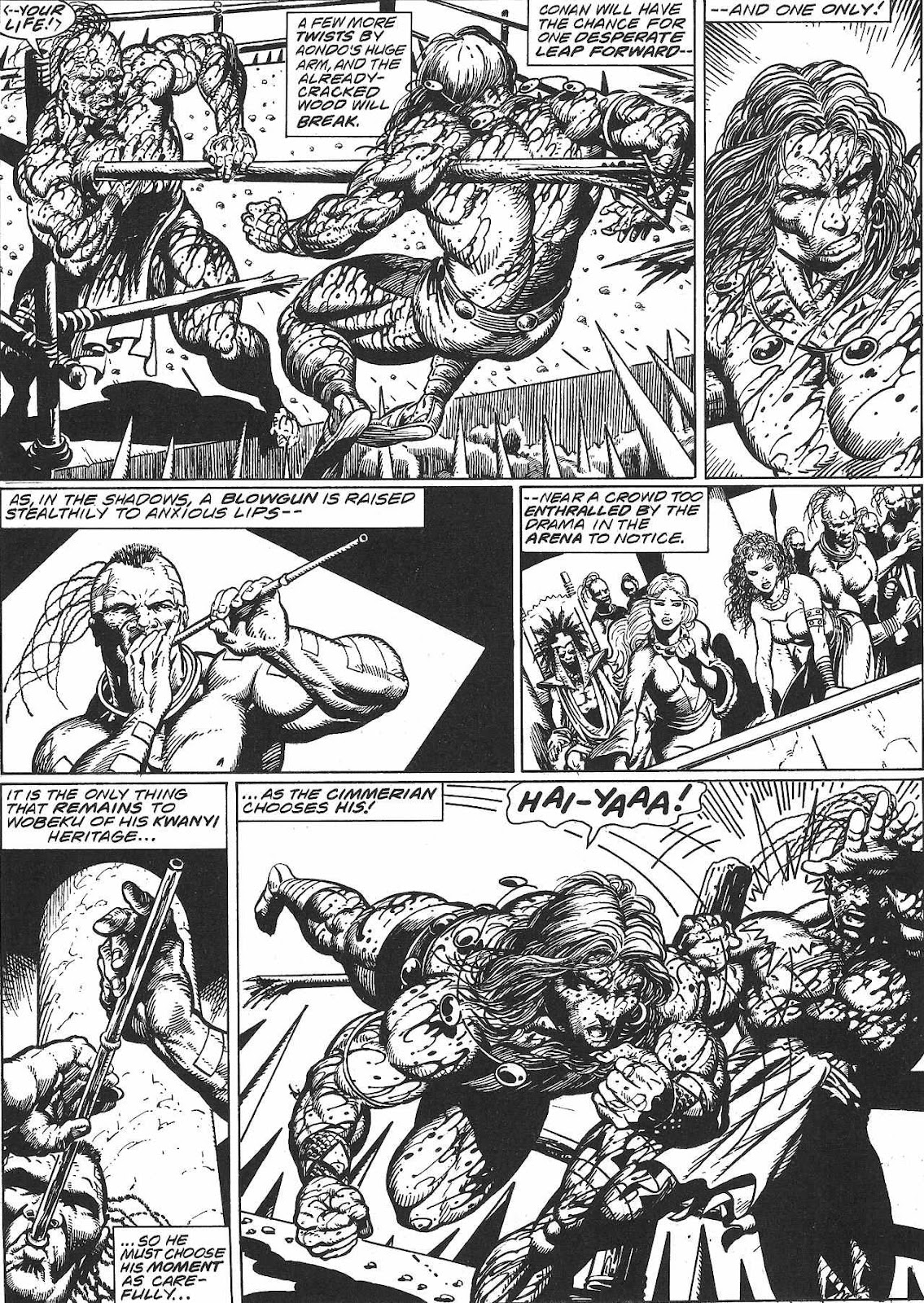The Savage Sword Of Conan issue 213 - Page 18