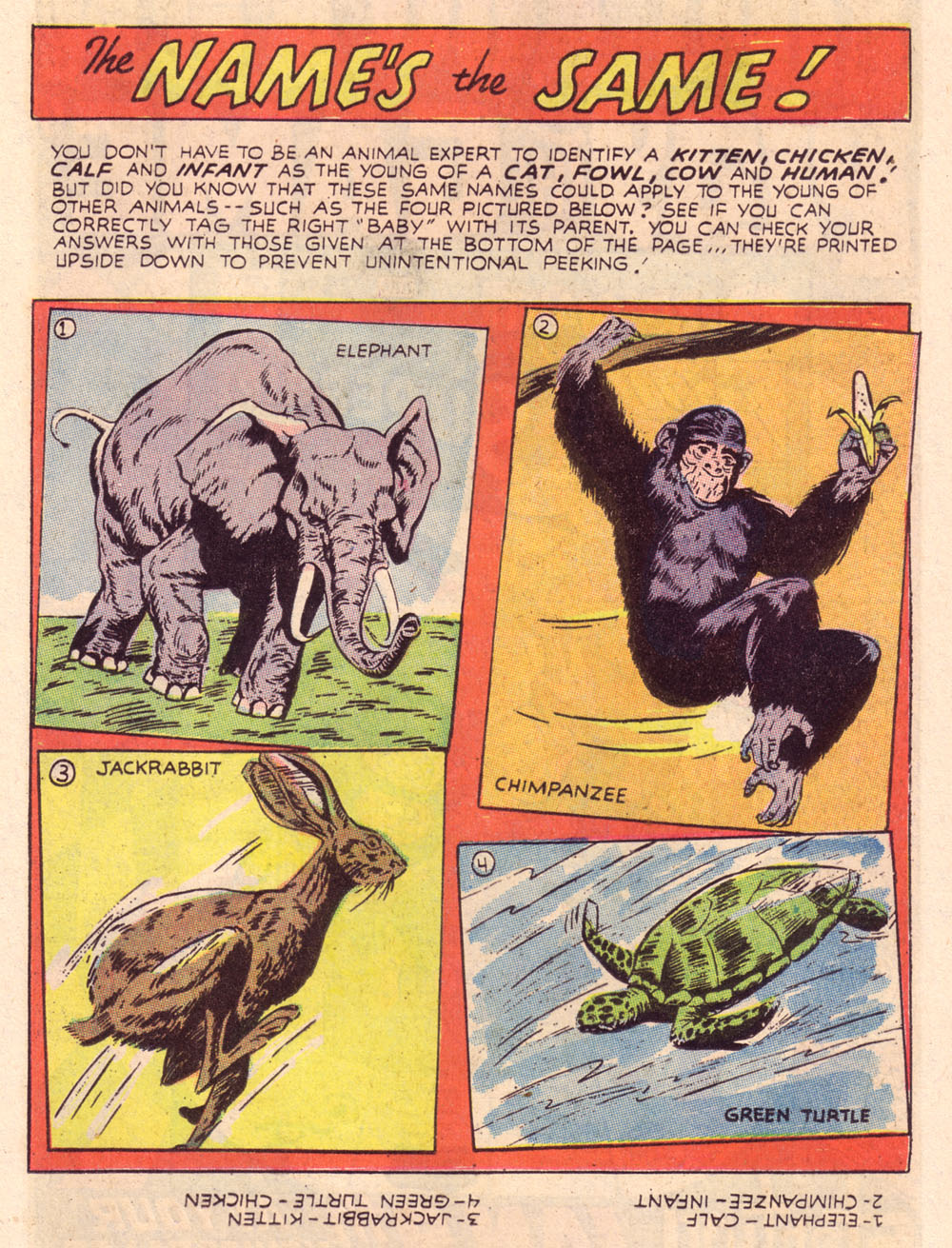Read online Bomba, The Jungle Boy comic -  Issue #4 - 13