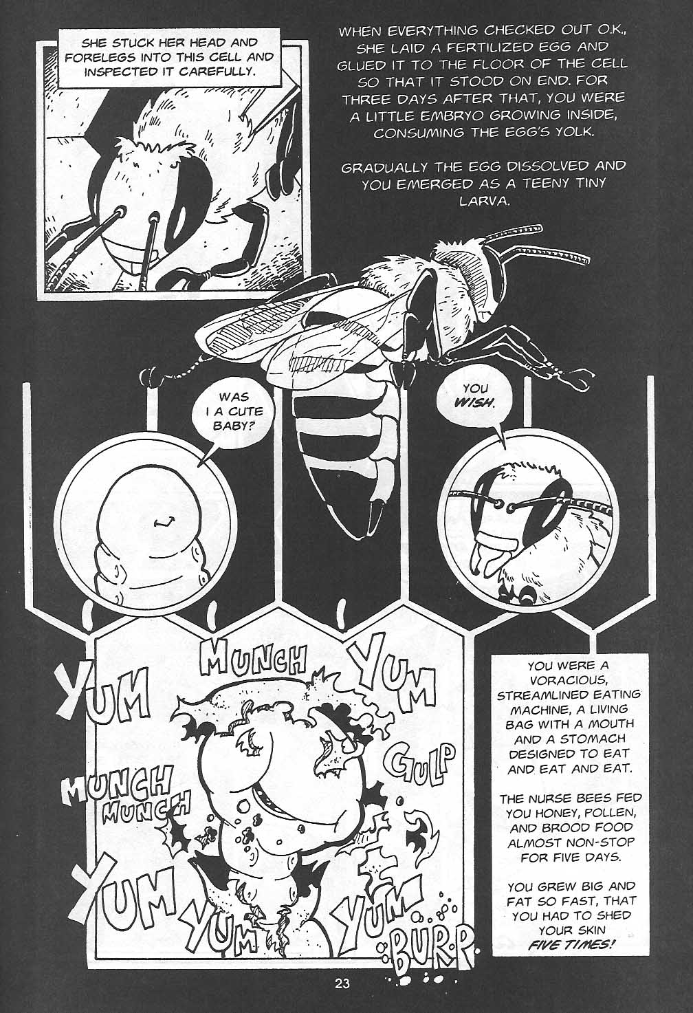 Read online Clan Apis comic -  Issue # TPB (Part 1) - 24