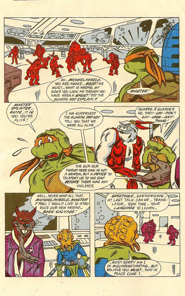 Read online Teenage Mutant Ninja Turtles Adventures (1989) comic -  Issue #26 - 23