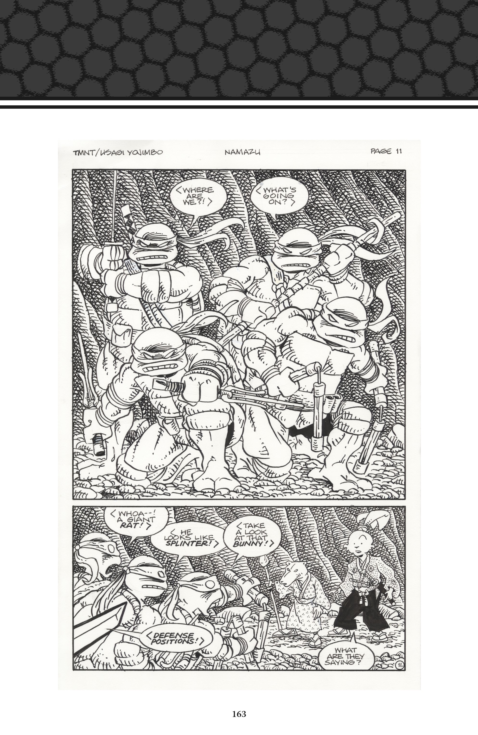 Read online Usagi Yojimbo/Teenage Mutant Ninja Turtles: The Complete Collection comic -  Issue # TPB (Part 2) - 54