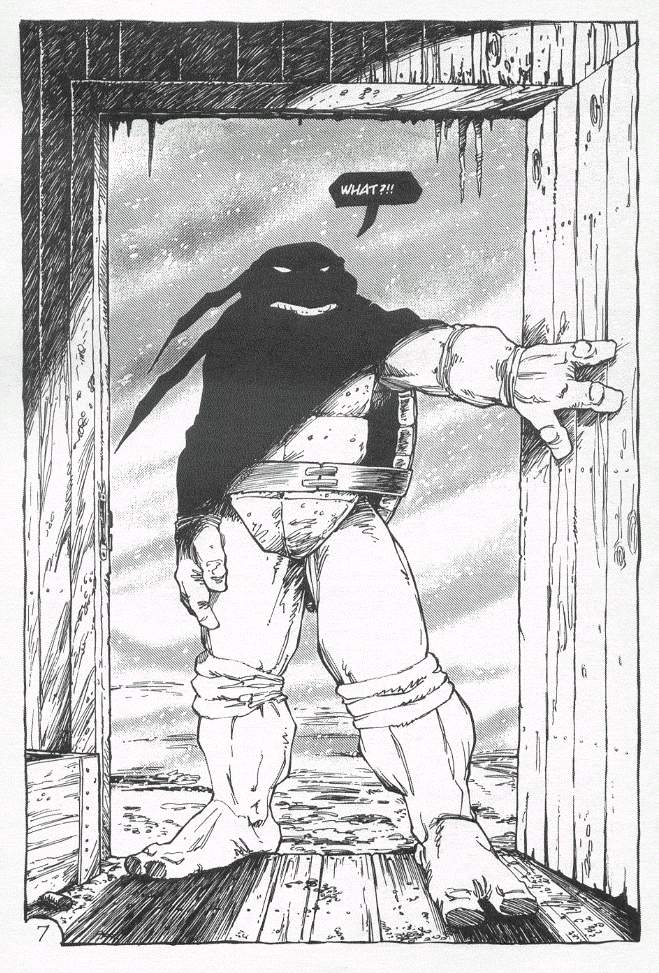 Read online Teenage Mutant Ninja Turtles (1984) comic -  Issue #19 - 8