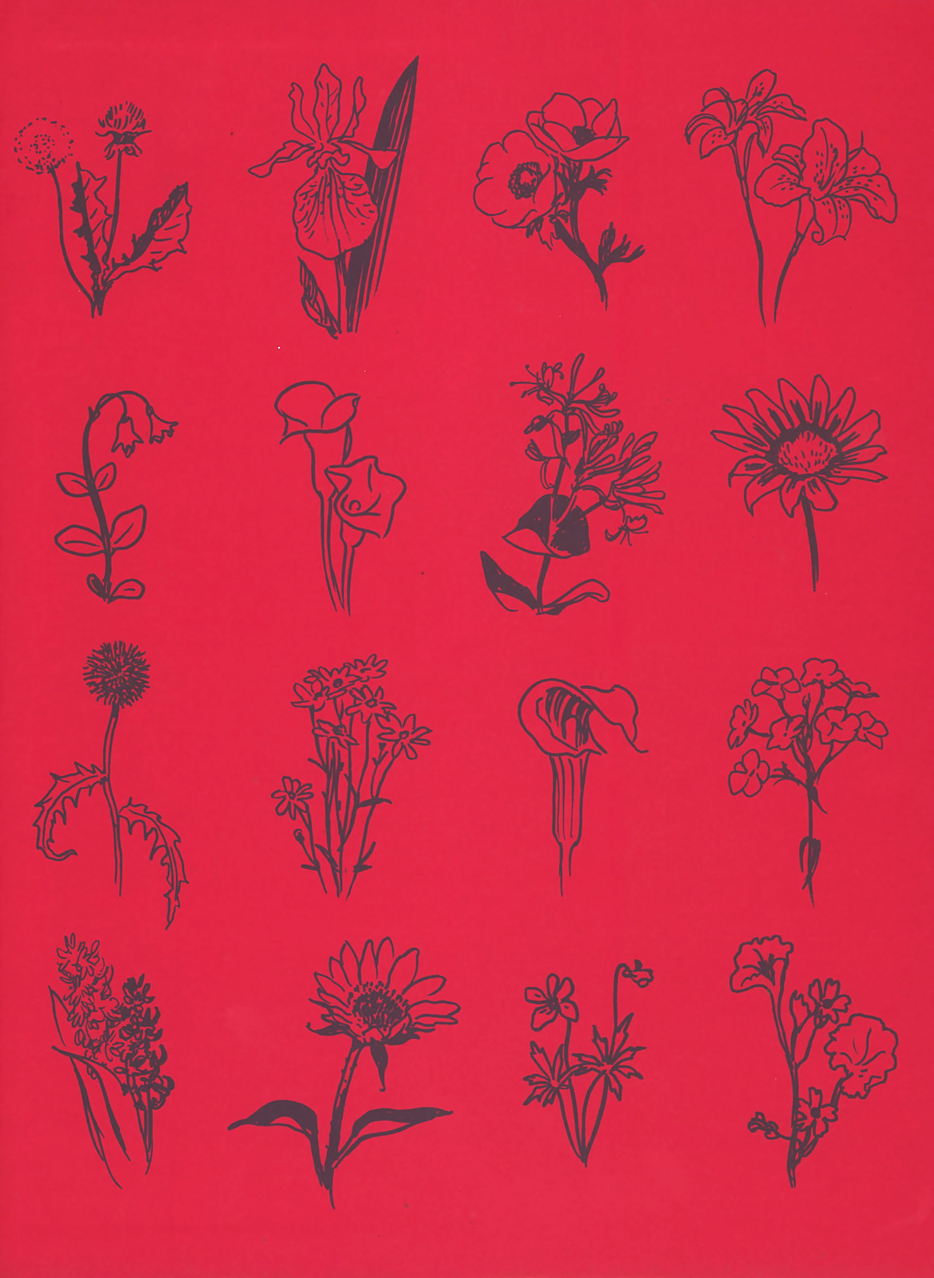 Read online Asterios Polyp comic -  Issue #Asterios Polyp TPB - 349