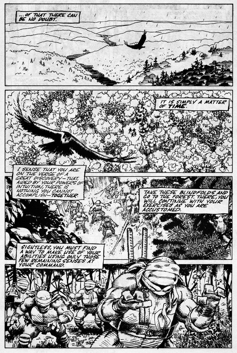 Read online Teenage Mutant Ninja Turtles (1984) comic -  Issue #43 - 3