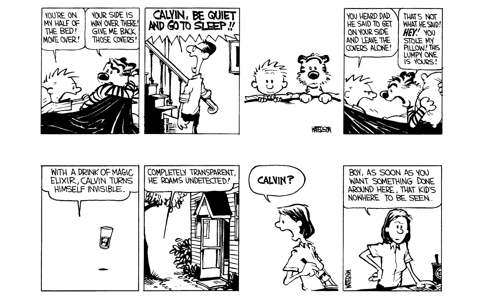 Read online Calvin and Hobbes comic -  Issue #2 - 11