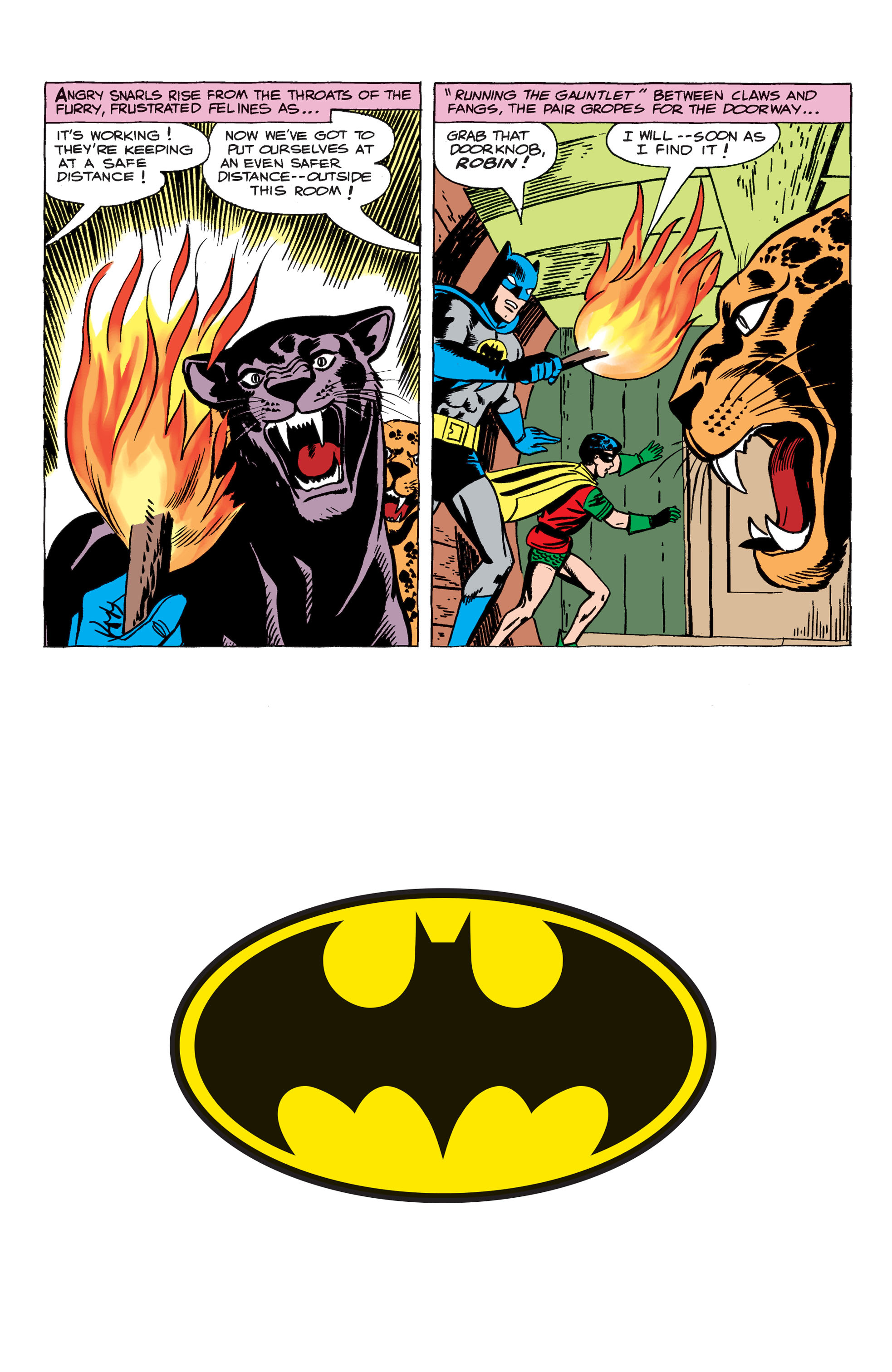 Read online Batman (1940) comic -  Issue #189 - 19
