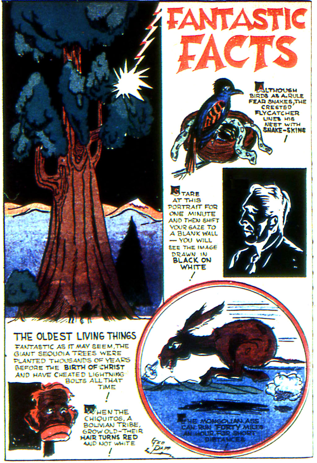 Read online Adventure Comics (1938) comic -  Issue #44 - 66