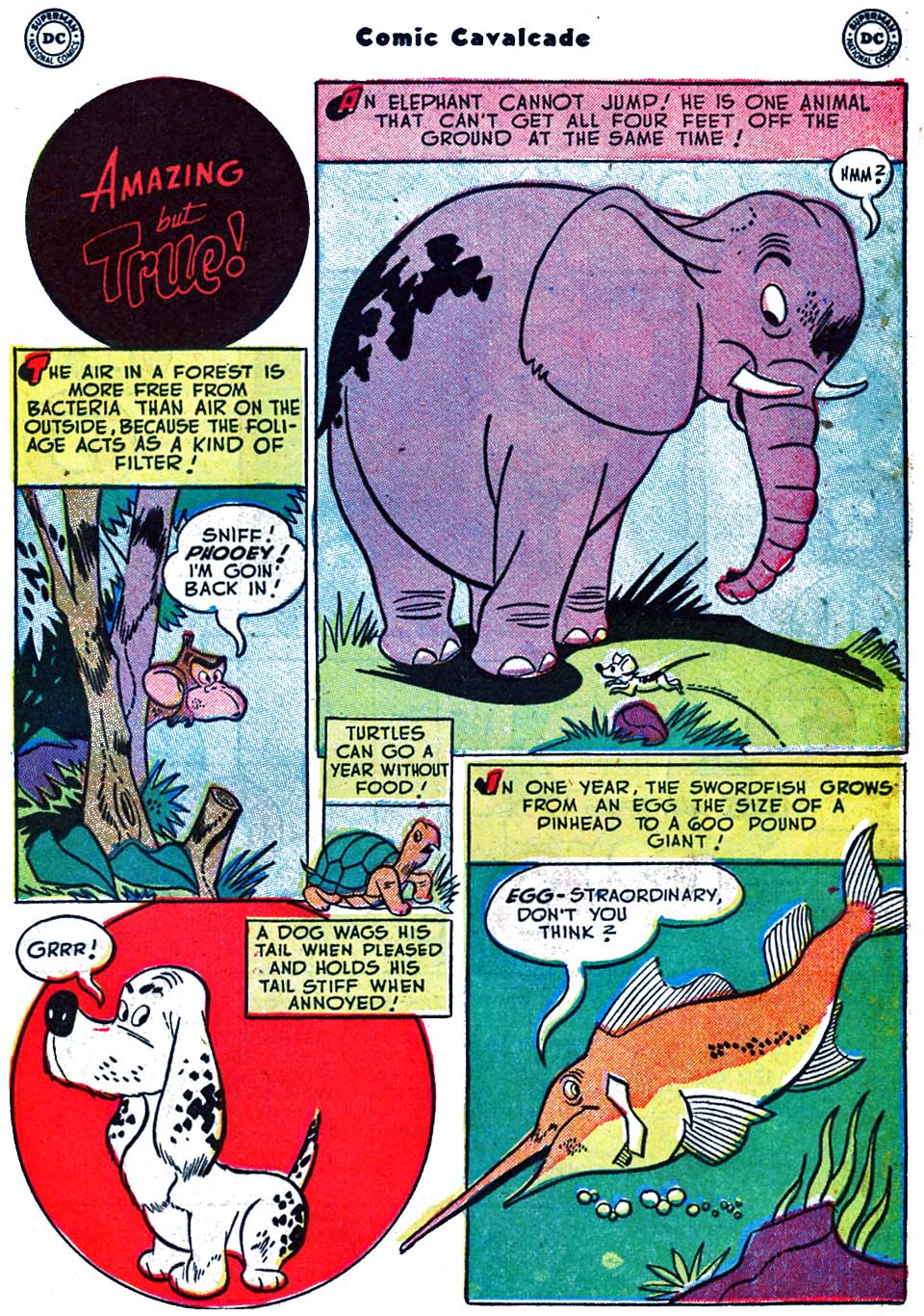 Read online Comic Cavalcade comic -  Issue #51 - 43