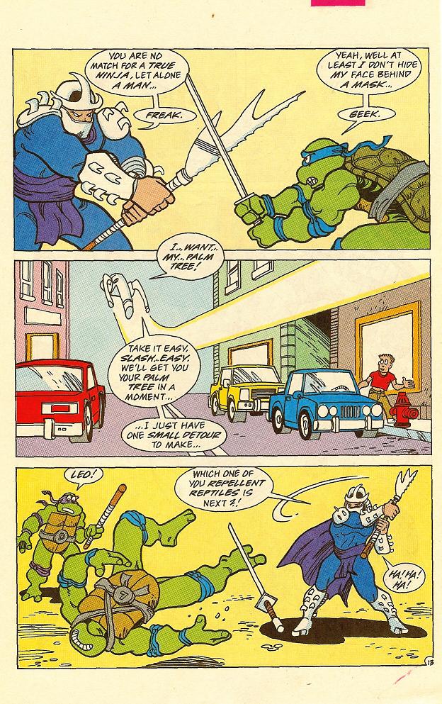 Read online Teenage Mutant Ninja Turtles Adventures (1989) comic -  Issue #24 - 14