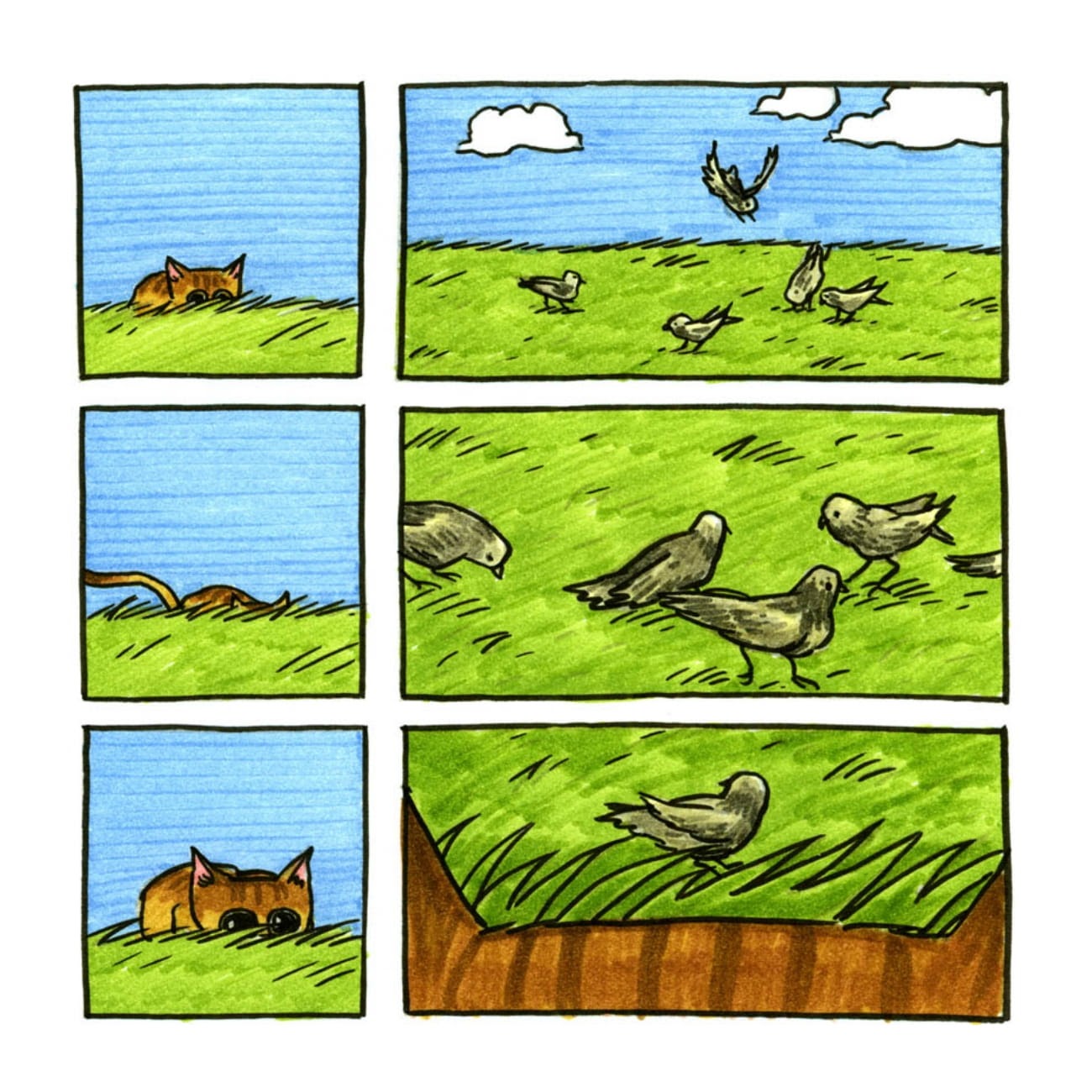 Read online Cats are Weird and More Observations comic -  Issue # TPB - 15