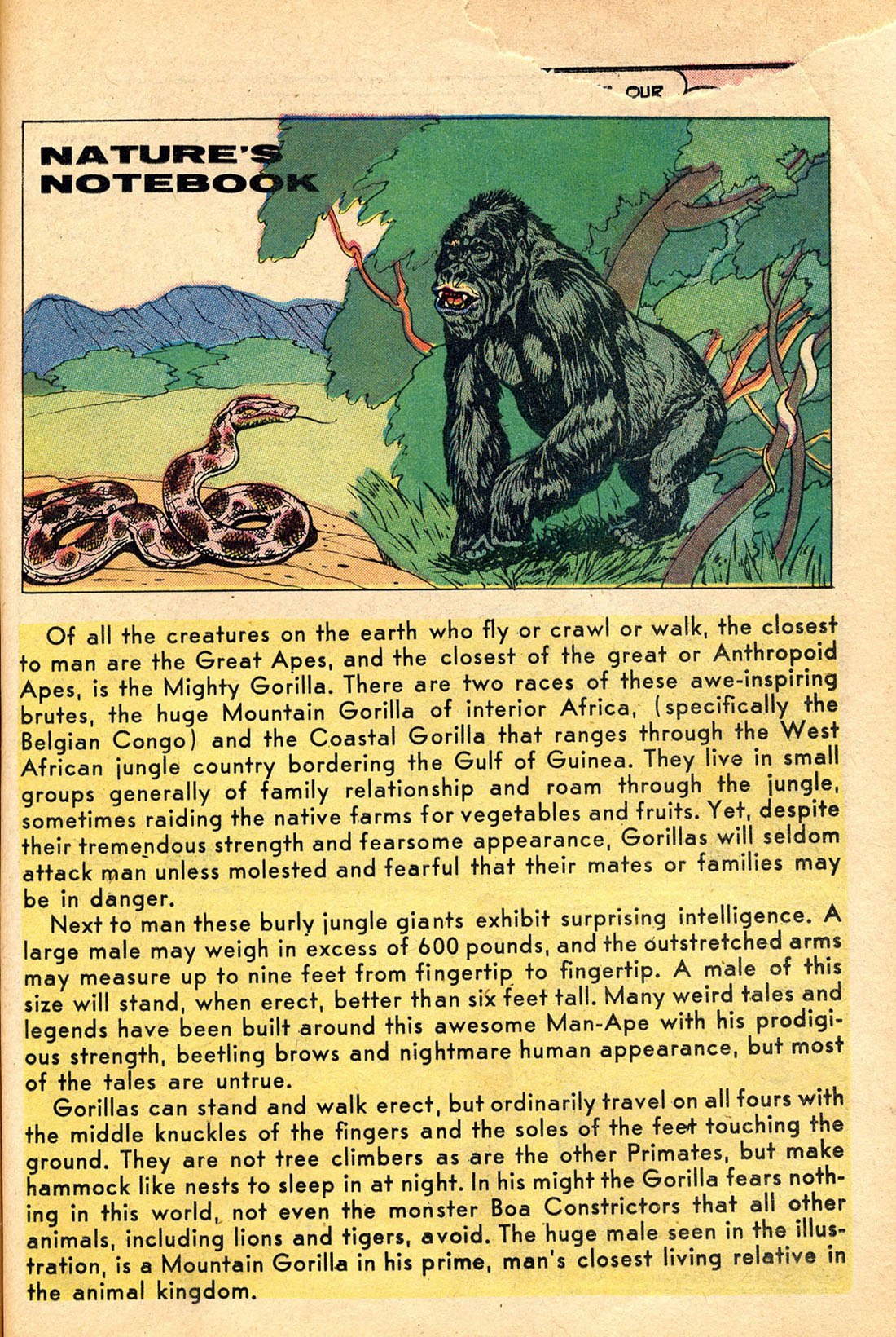 Read online Little Archie (1956) comic -  Issue #9 - 51