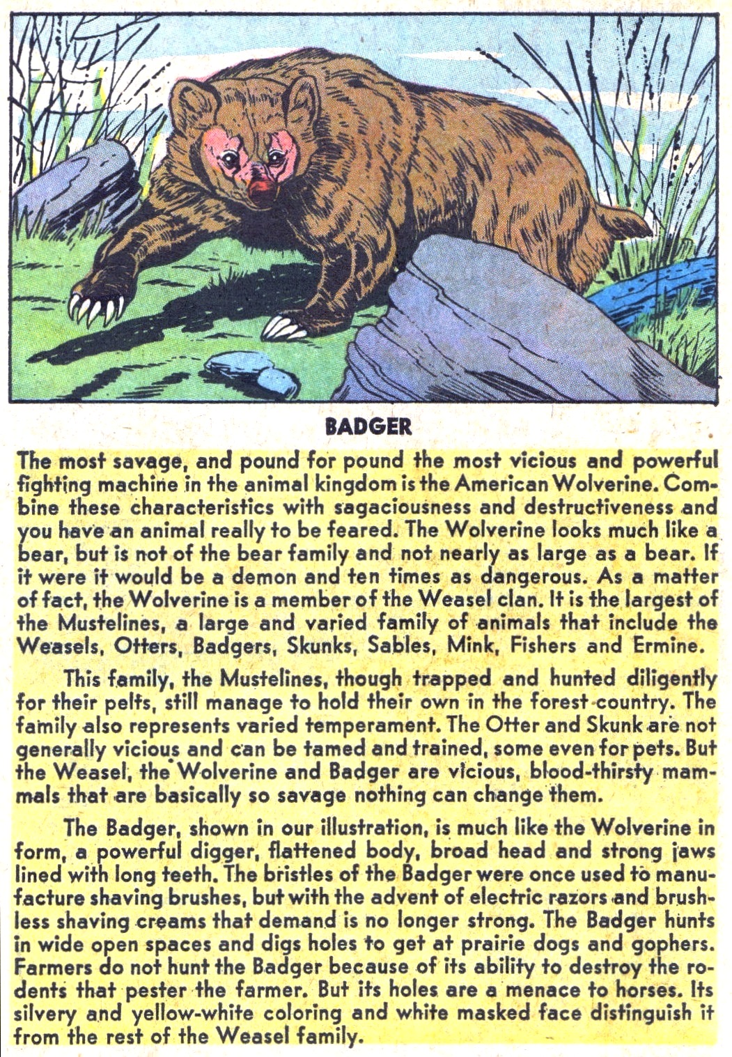 Read online Life With Archie (1958) comic -  Issue #13 - 26
