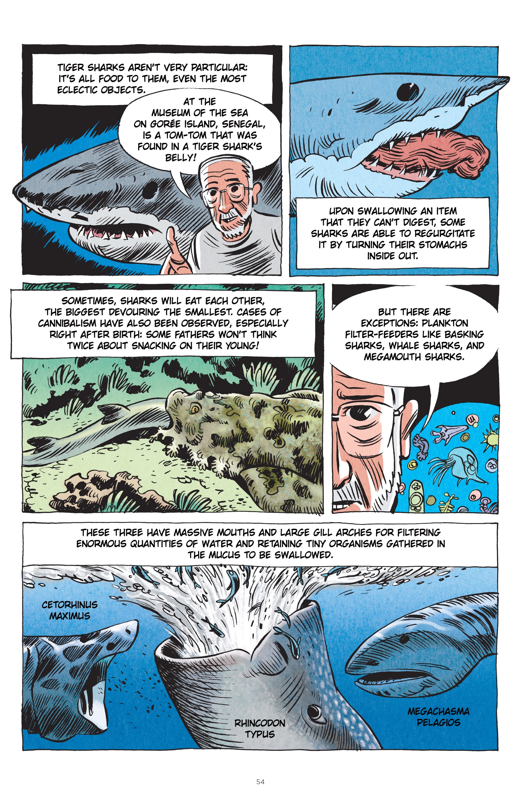 Read online Little Book of Knowledge: Sharks comic -  Issue # TPB - 54