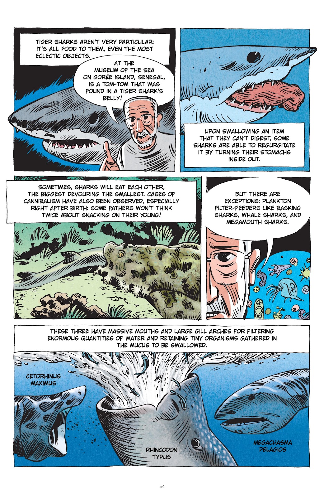 Little Book of Knowledge: Sharks issue TPB - Page 54