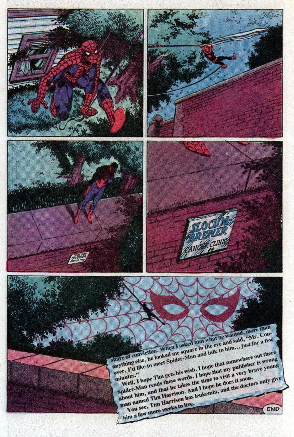 The Amazing Spider-Man (1963) issue 248 - Page 23