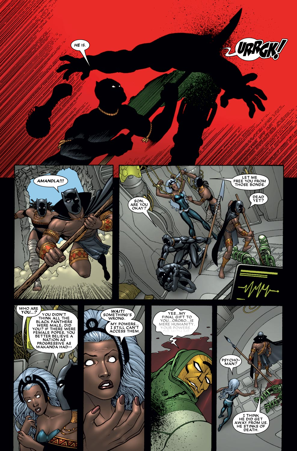 Read online Black Panther (2005) comic -  Issue #31 - 16