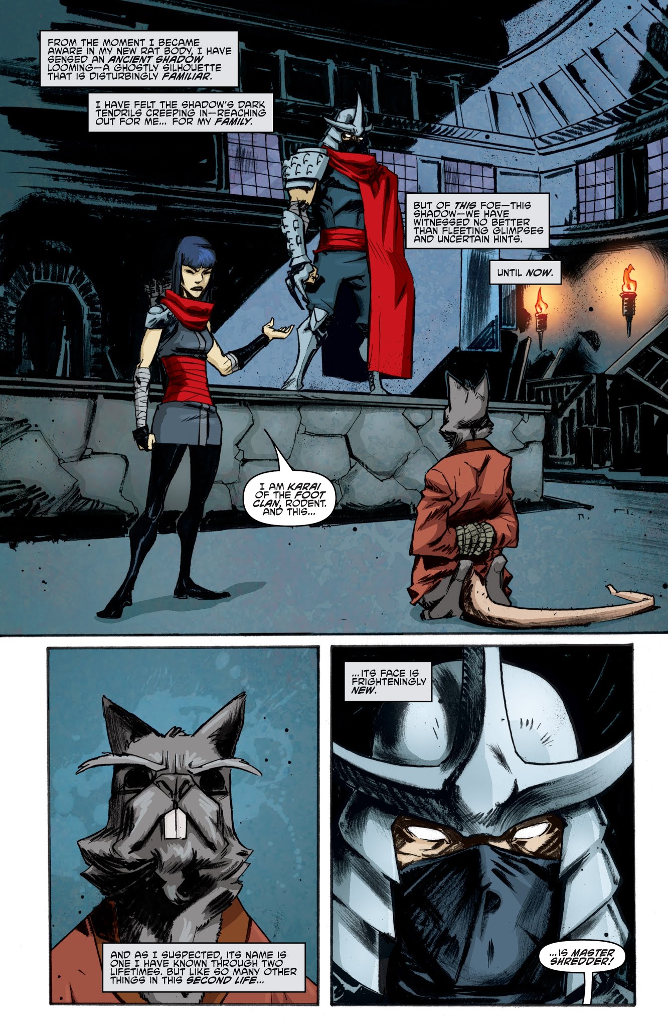 Read online Teenage Mutant Ninja Turtles: The IDW Collection comic -  Issue # TPB 1 (Part 4) - 28