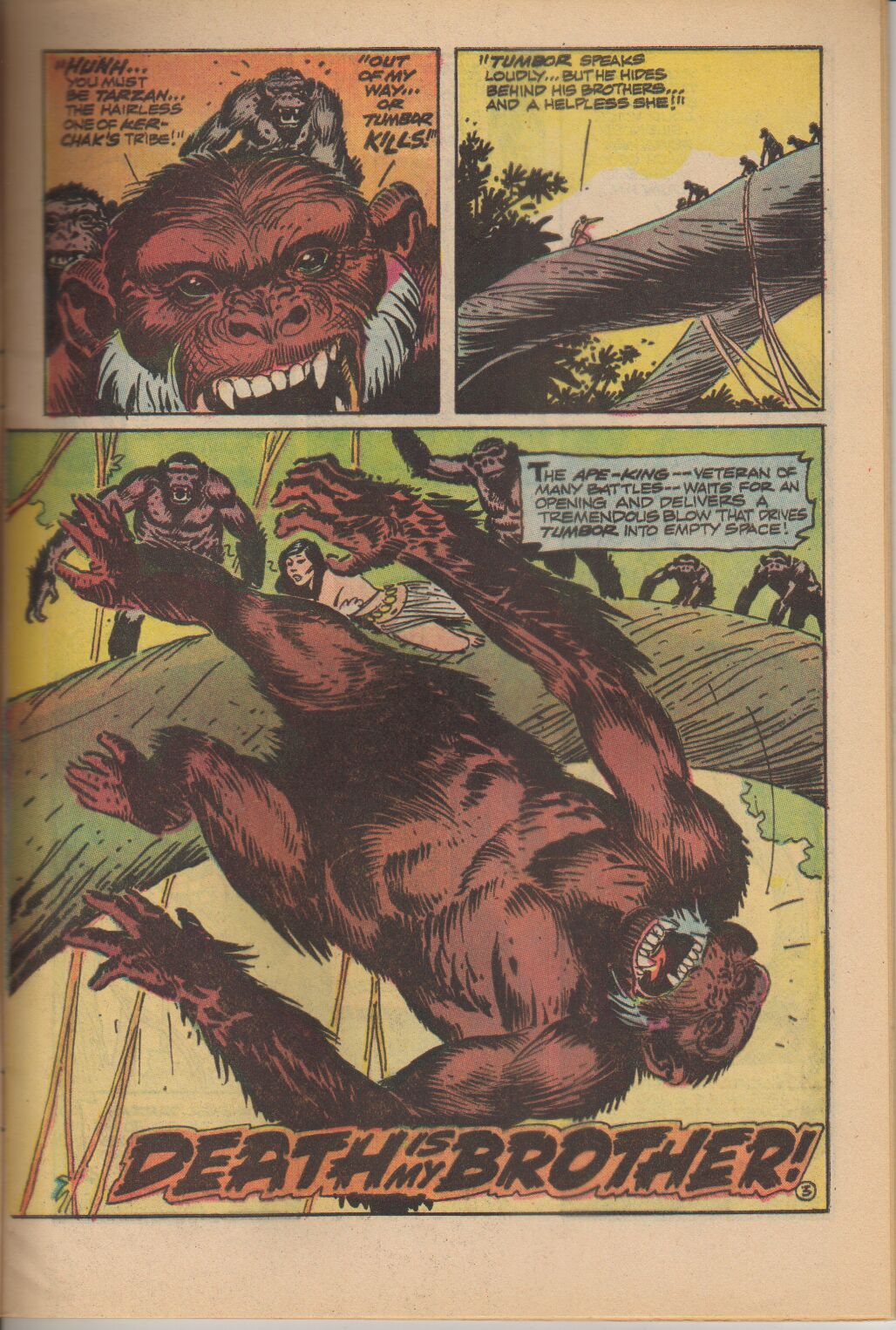 Read online Tarzan (1972) comic -  Issue #224 - 4