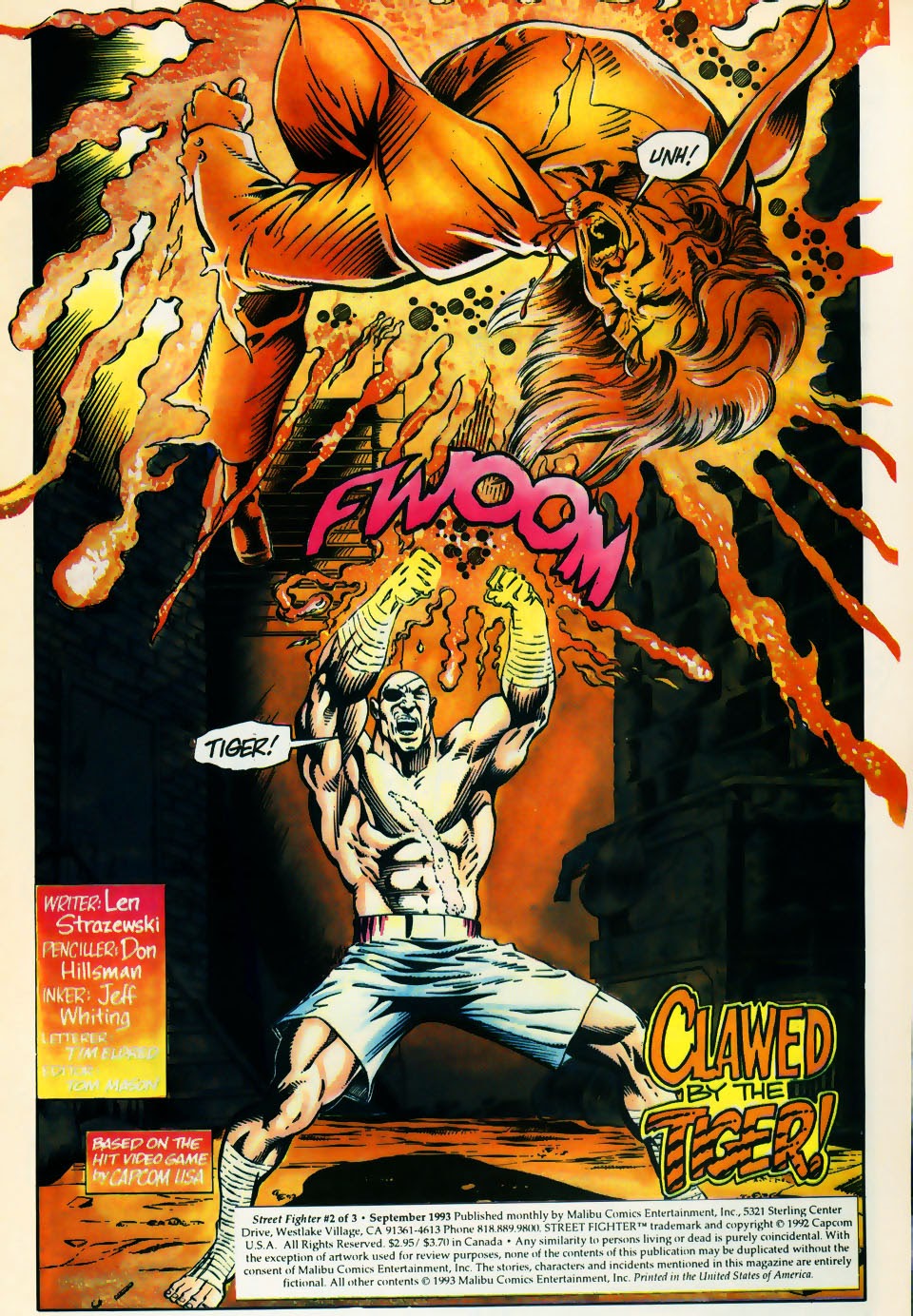 Read online Street Fighter (1994) comic -  Issue #2 - 2