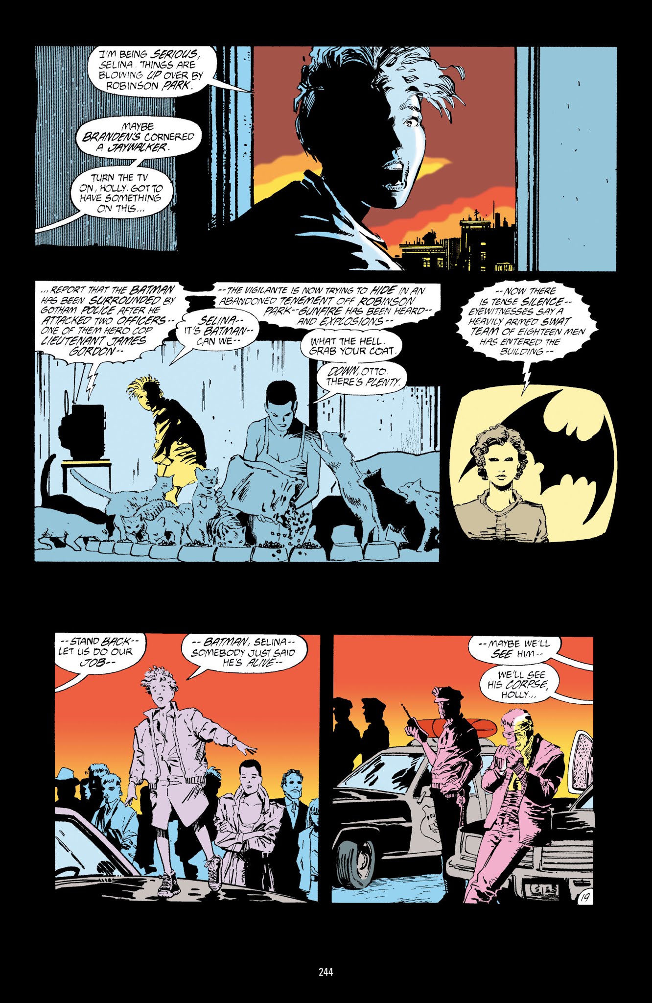 Read online Catwoman: A Celebration of 75 Years comic -  Issue # TPB (Part 3) - 45