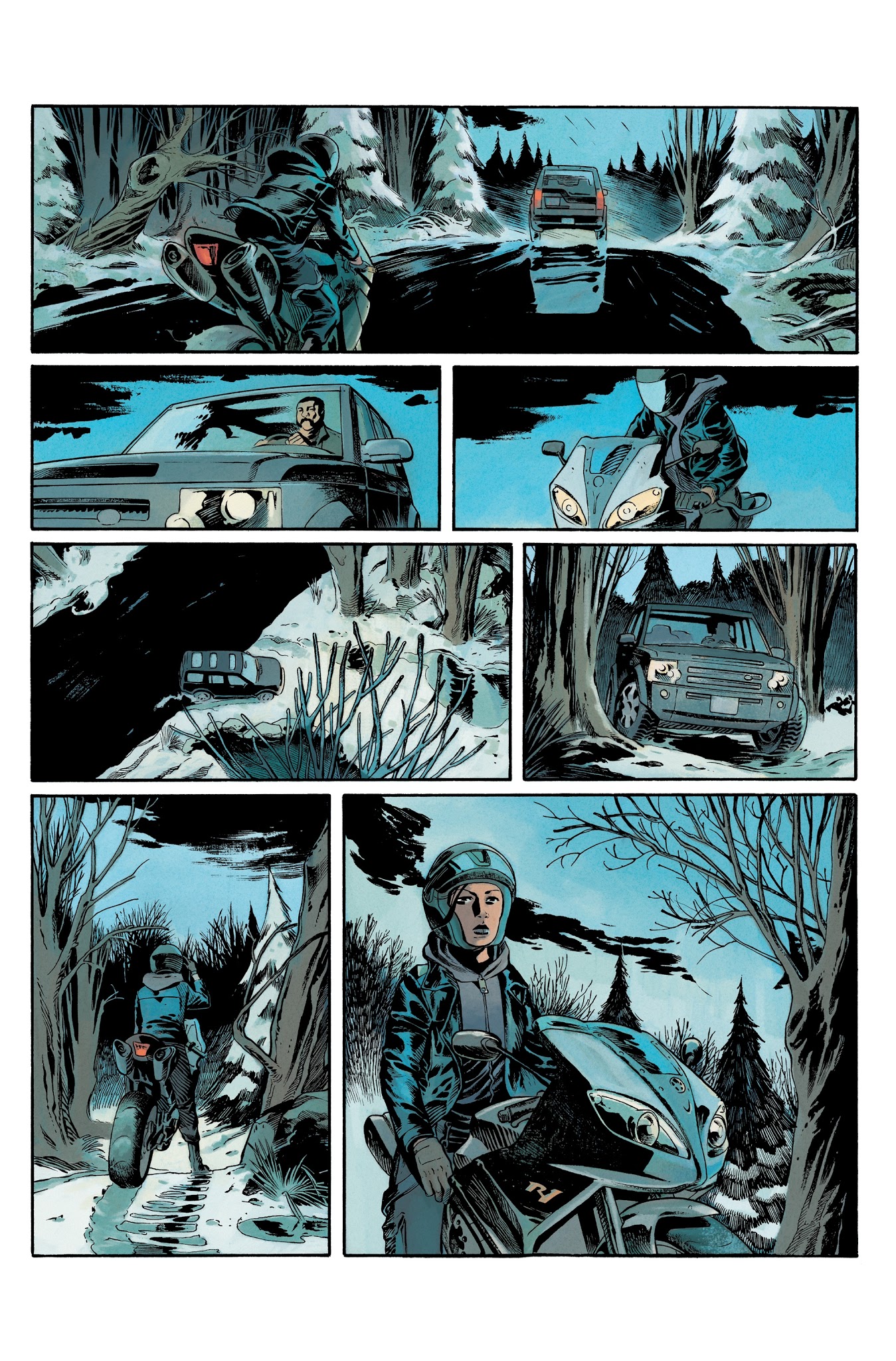 Read online Millennium: The Girl Who Played With Fire comic -  Issue #2 - 41