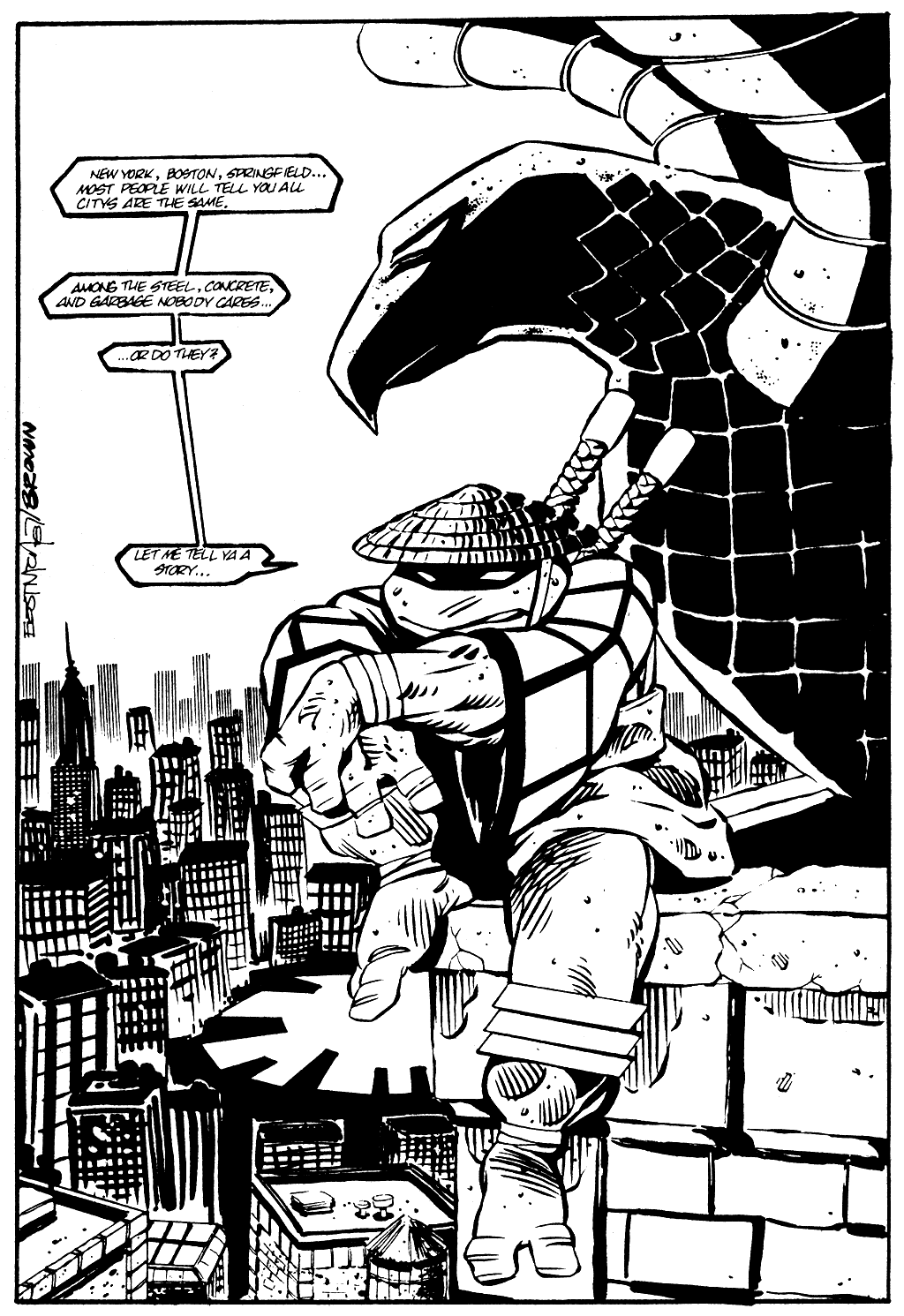 Tales of the Teenage Mutant Ninja Turtles issue 2 - Page 3