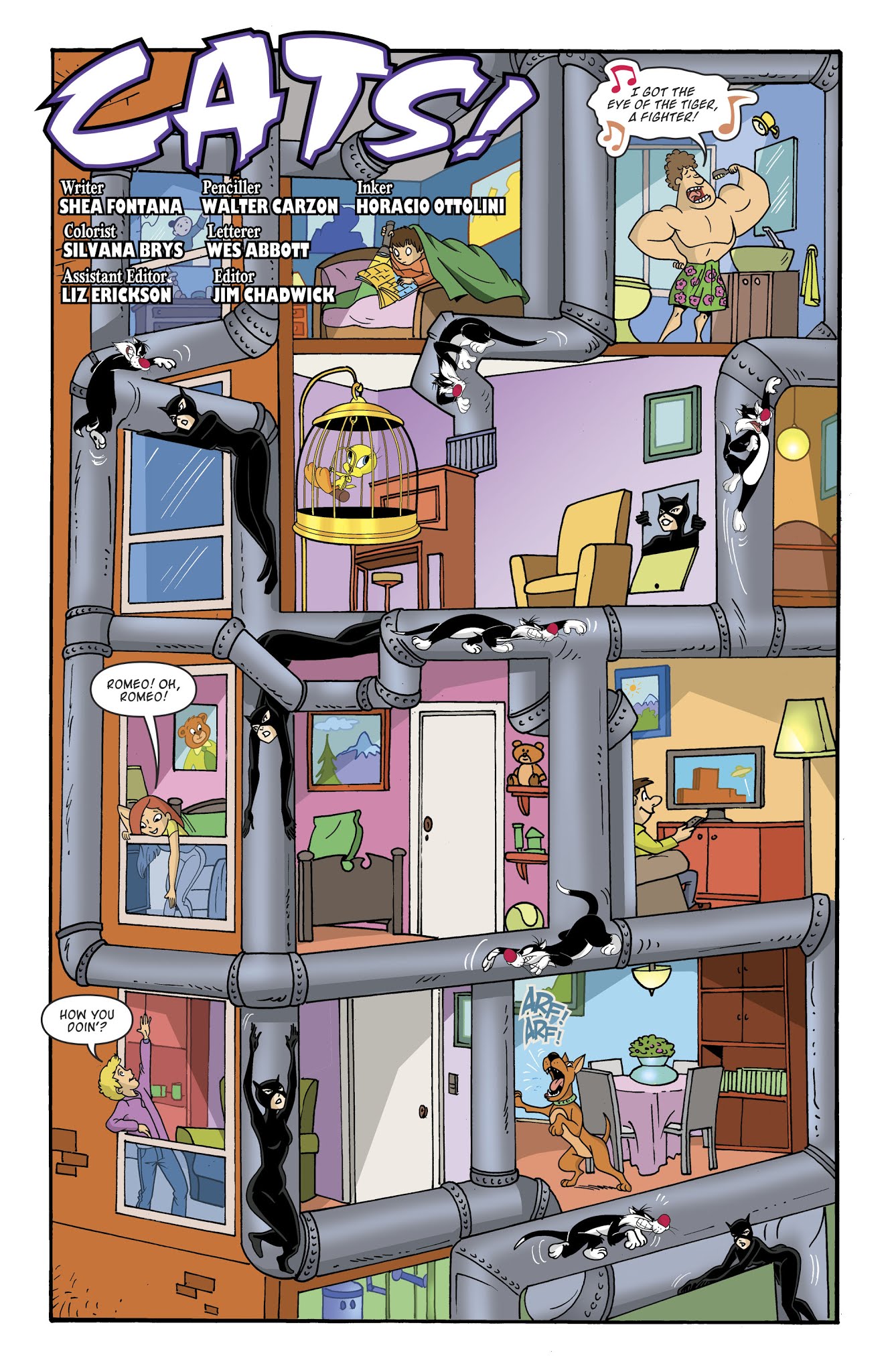 Read online Catwoman/Tweety and Sylvester comic -  Issue # Full - 33