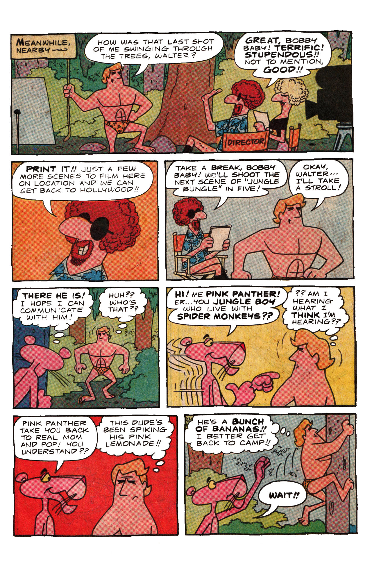 Read online The Pink Panther (1971) comic -  Issue #62 - 11