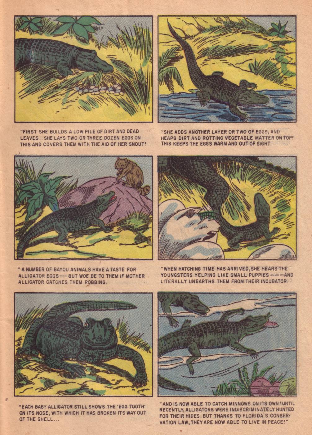 Read online Four Color Comics comic -  Issue #662 - 33