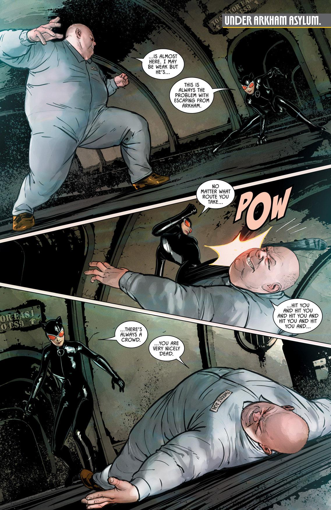 Read online Batman: The Bat and the Cat: 80 Years of Romance comic -  Issue # TPB (Part 3) - 30