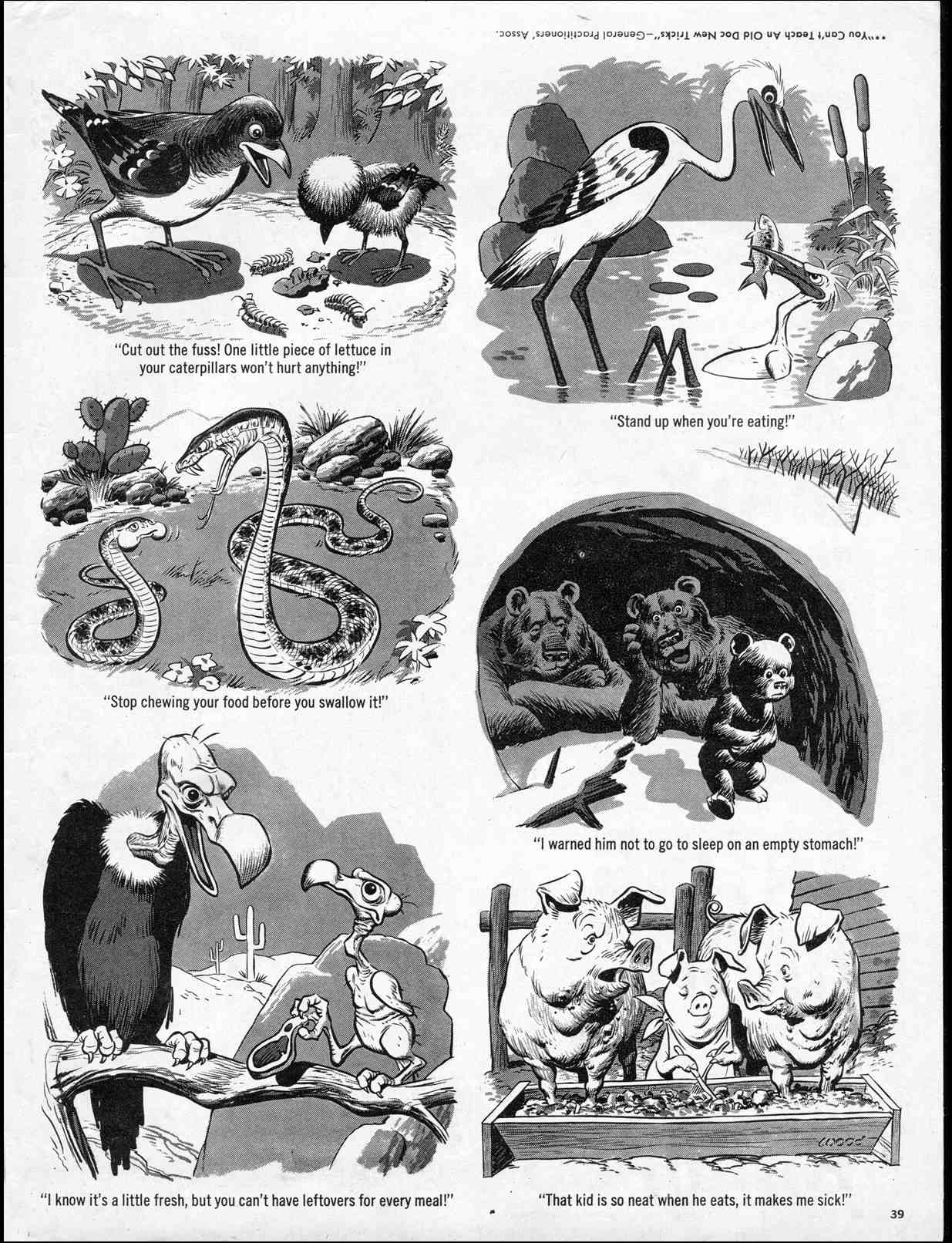 Read online MAD comic -  Issue #72 - 41