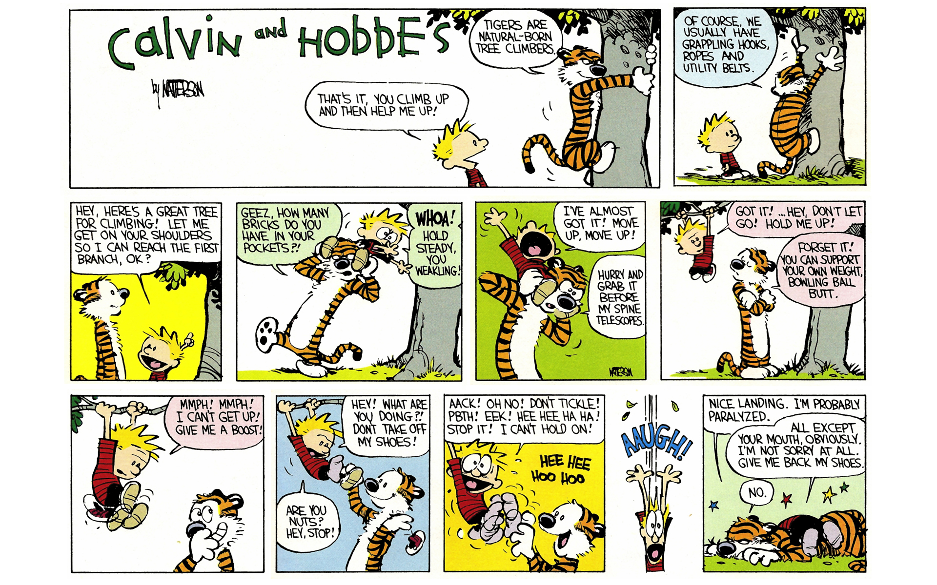 Read online Calvin and Hobbes comic - Issue #3.