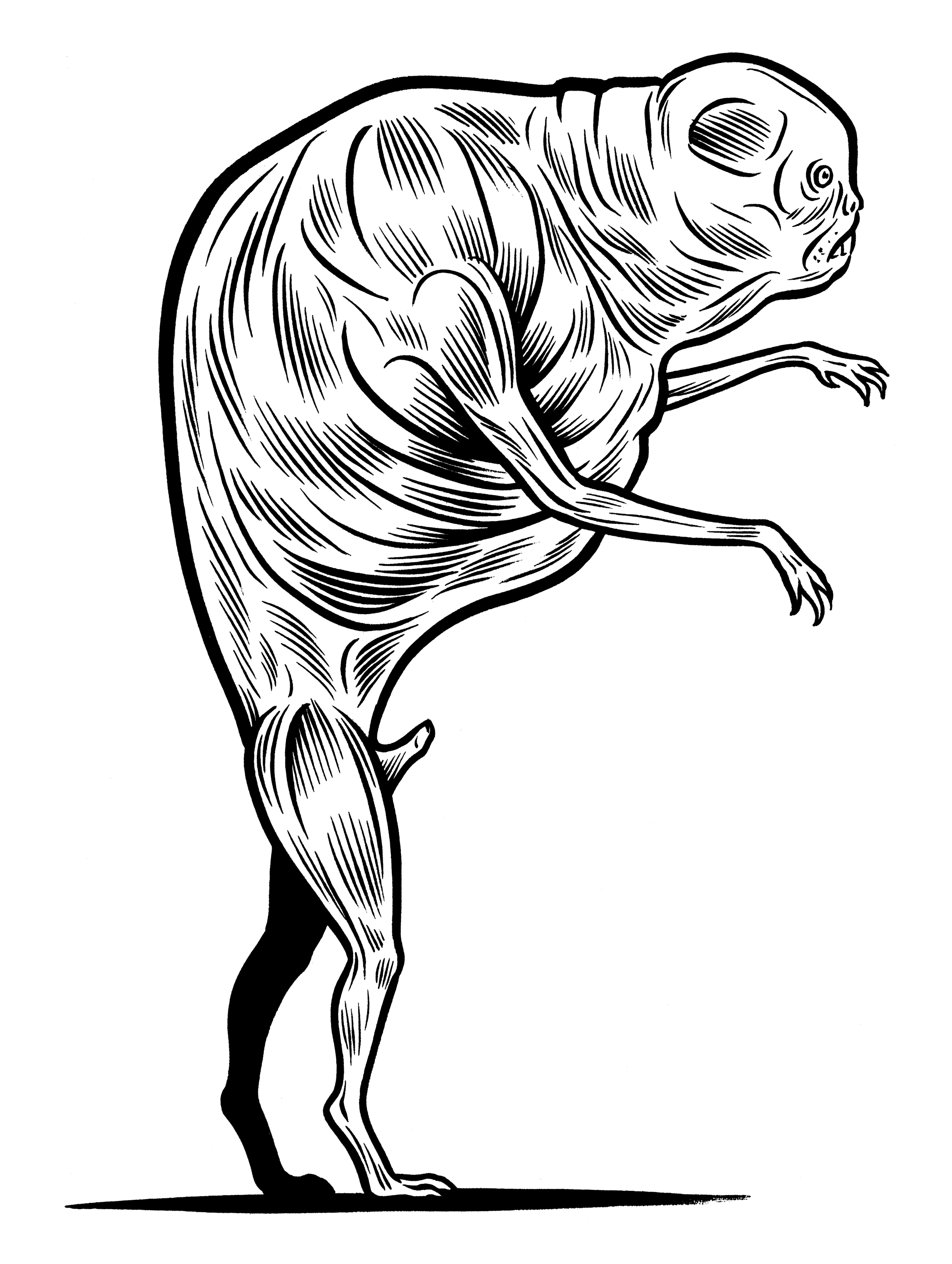 Read online Free S**t comic -  Issue # TPB (Part 2) - 26