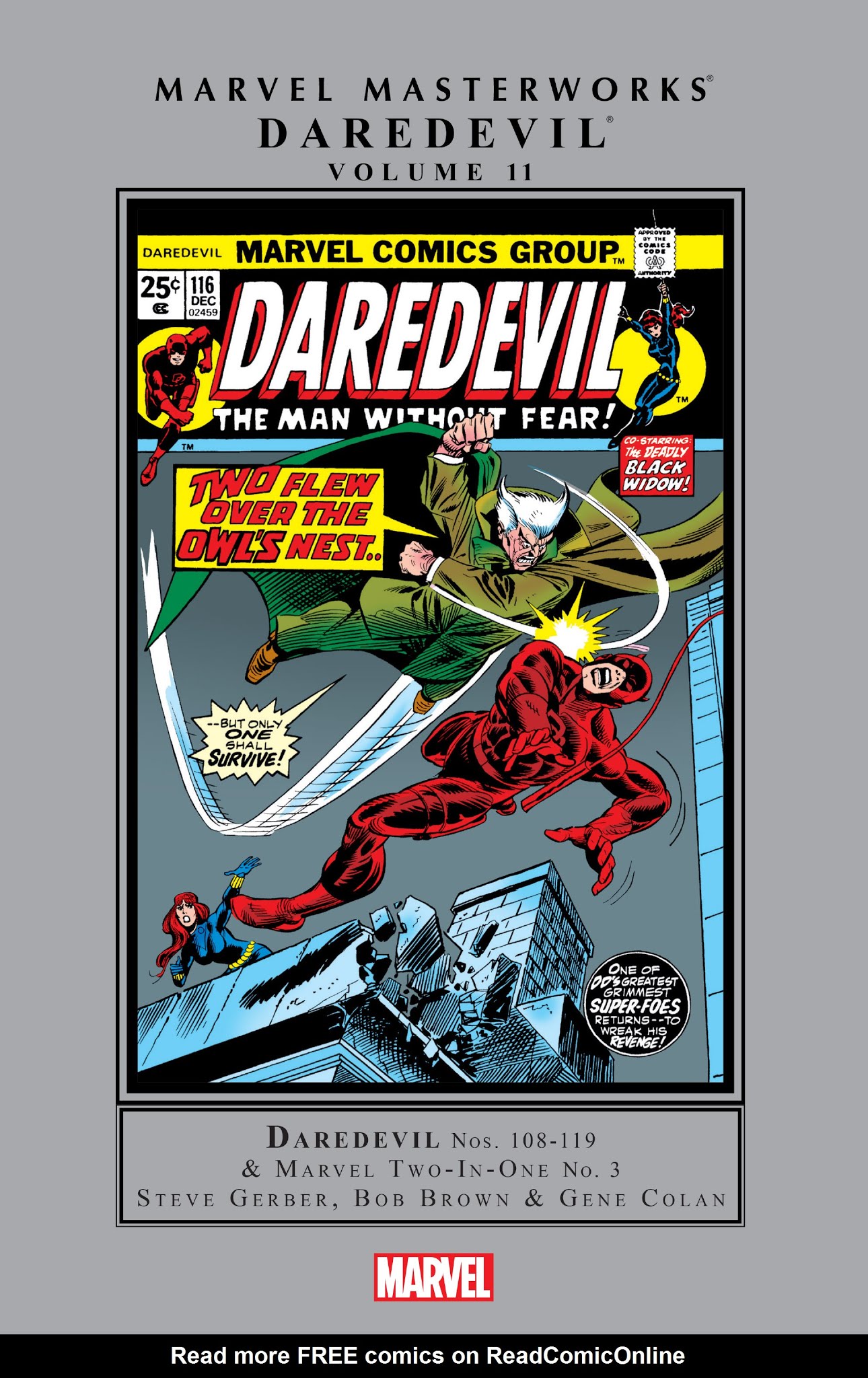 Read online Marvel Masterworks: Daredevil comic -  Issue # TPB 11 (Part 1) - 1