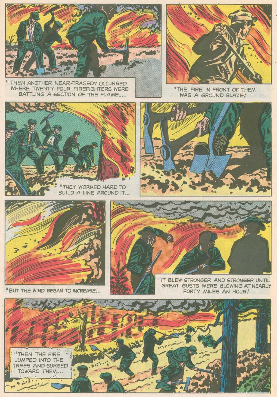 Read online The True Story of Smokey  Bear comic -  Issue # Full - 9