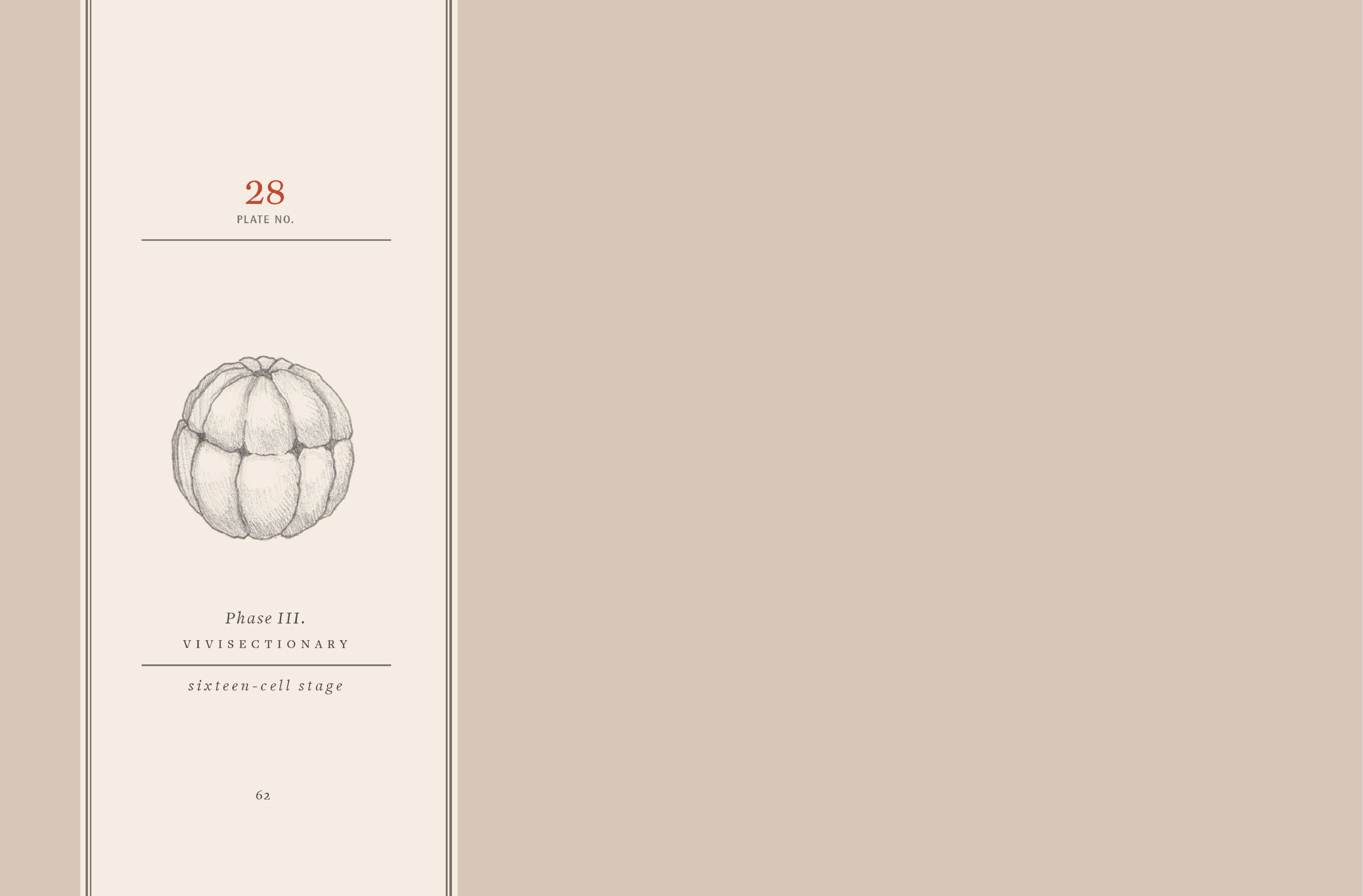 Read online Vivisectionary comic -  Issue # TPB - 63