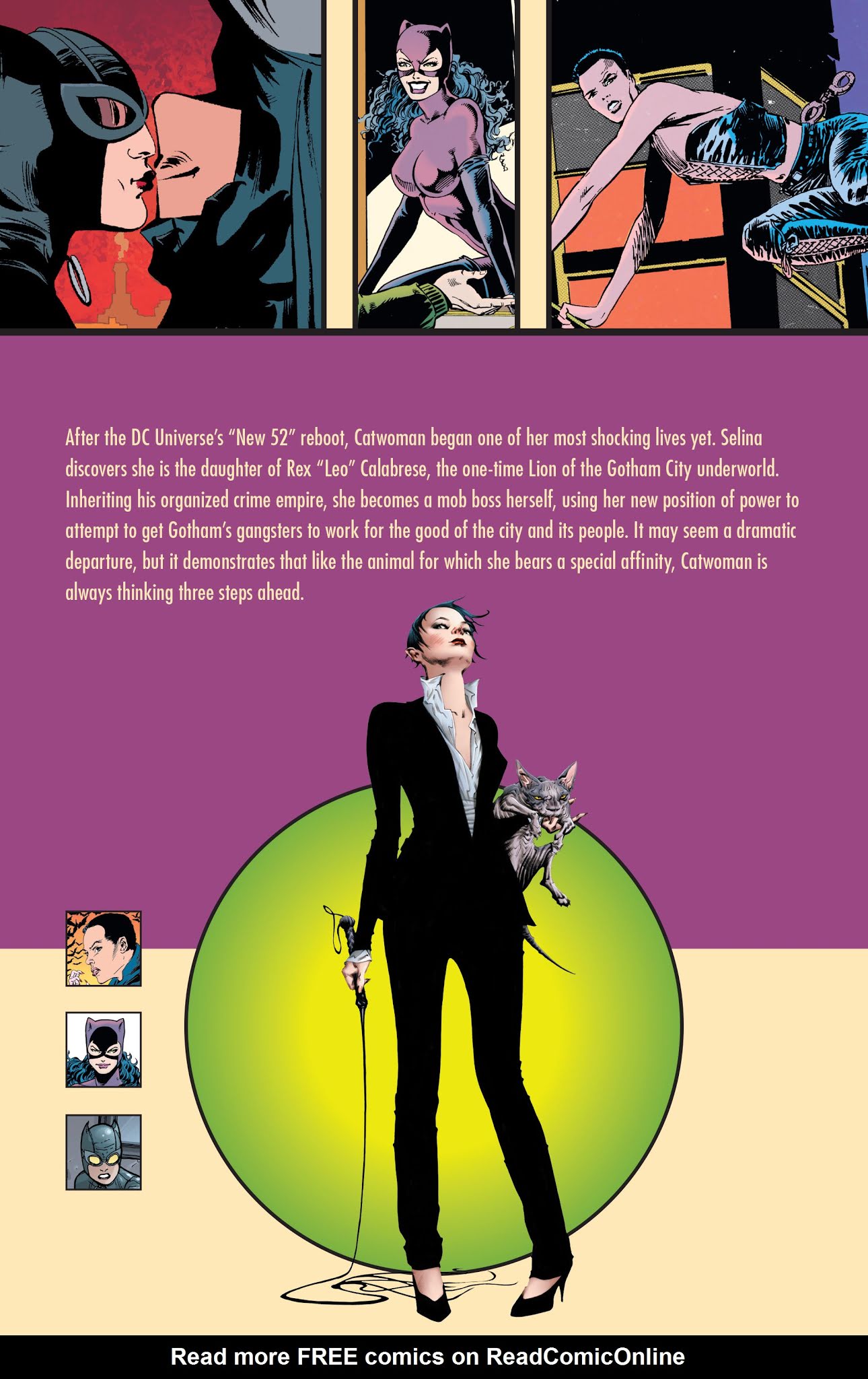 Read online Catwoman: A Celebration of 75 Years comic -  Issue # TPB (Part 3) - 25