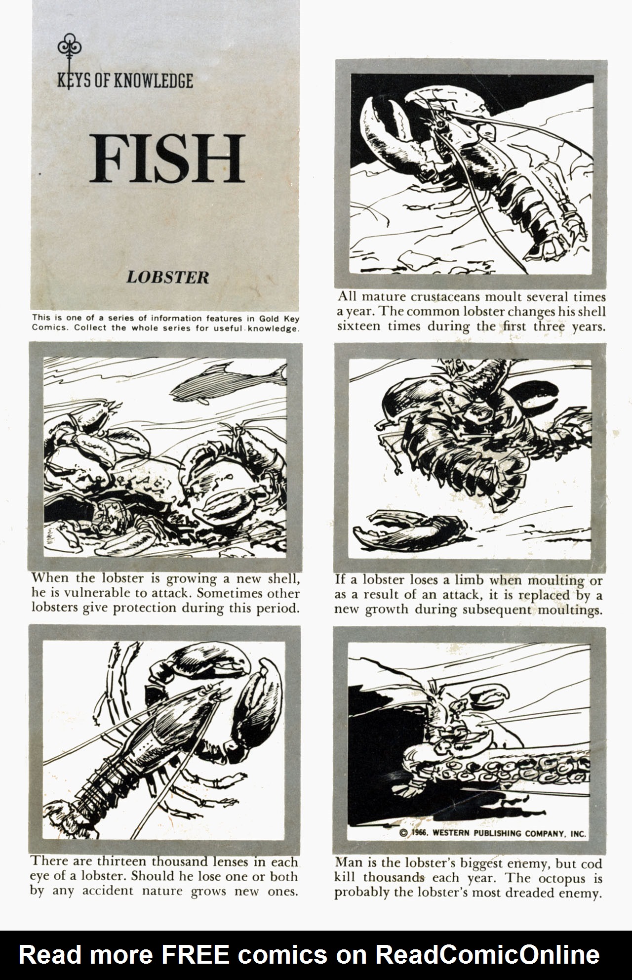 Read online Voyage to the Bottom of the Sea comic -  Issue #6 - 35